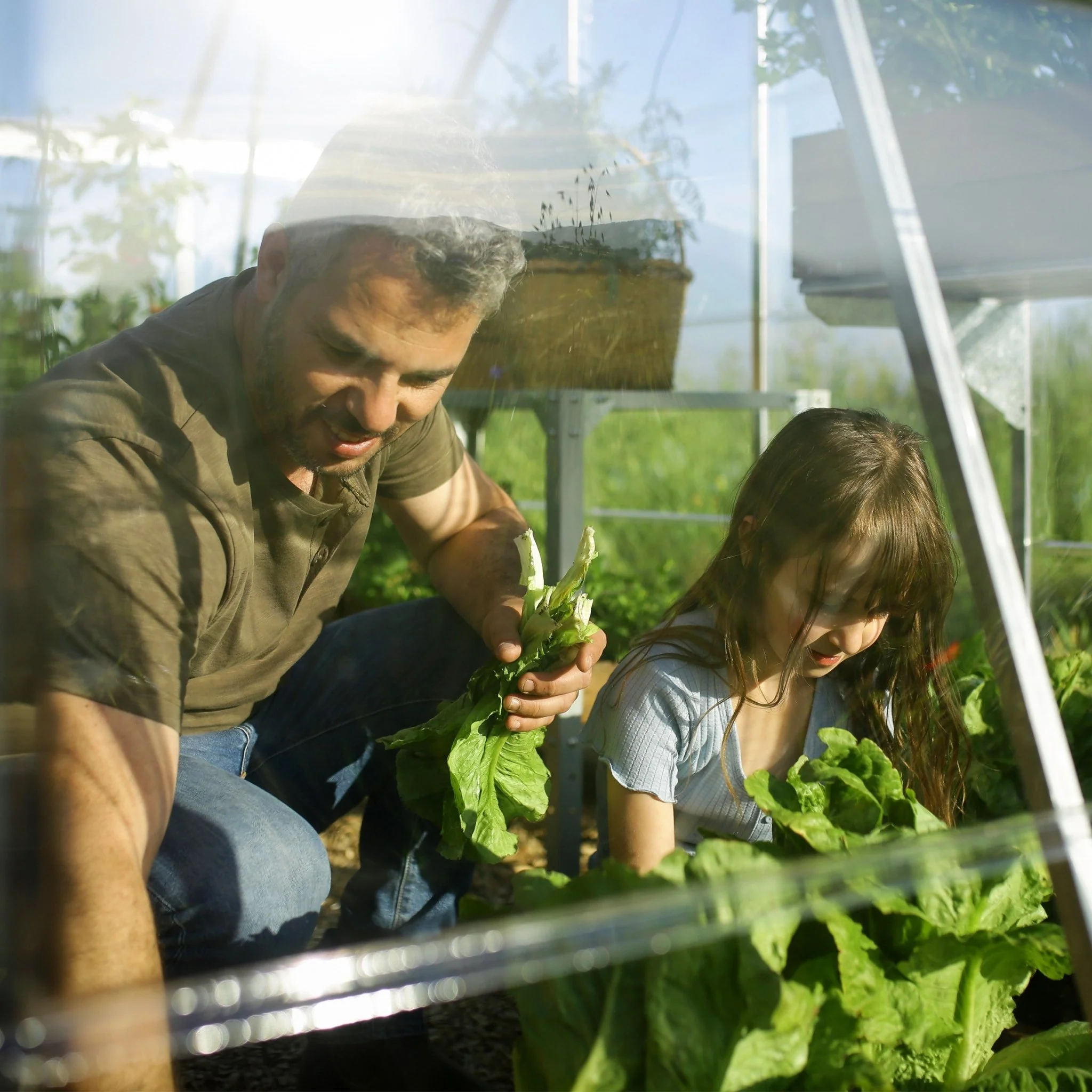 PRE ORDER: MAY - 10' x 20' Balance Greenhouse (3.1m x 6.1m) - Image 4