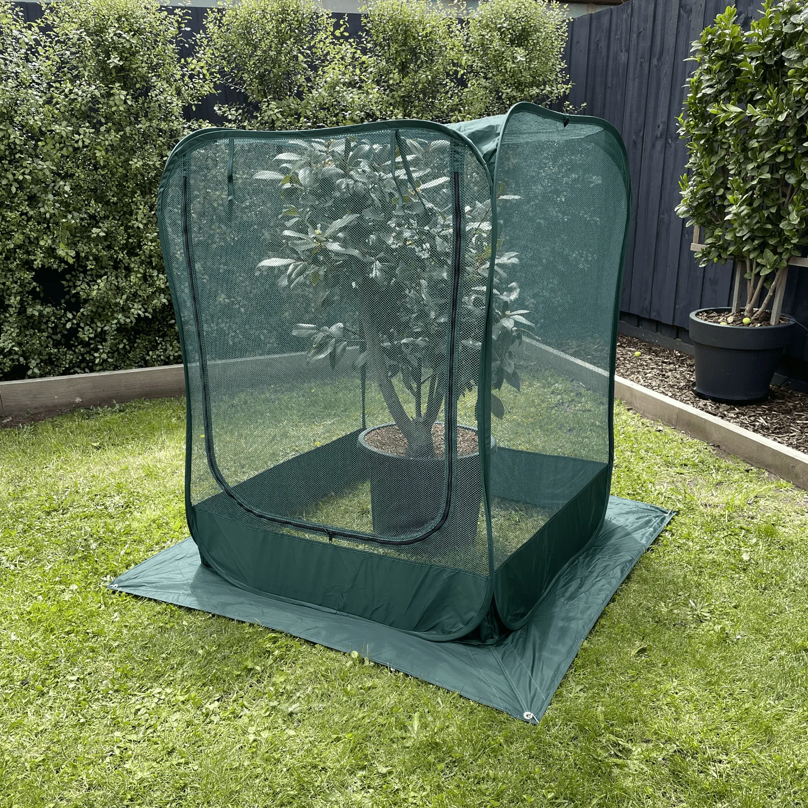 NET Garden Cover - 1m2 x 1.25m High - Image 2