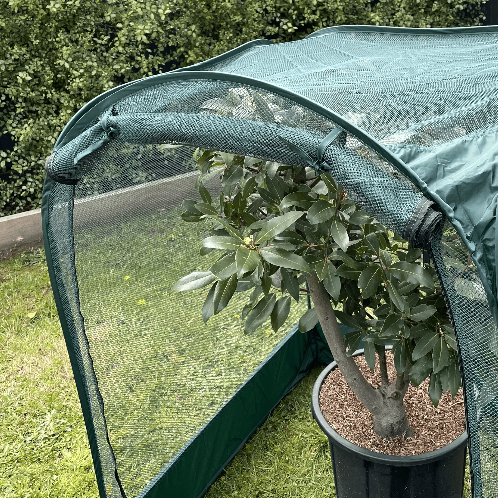 NET Garden Cover - 1m2 x 1.25m High - Image 4