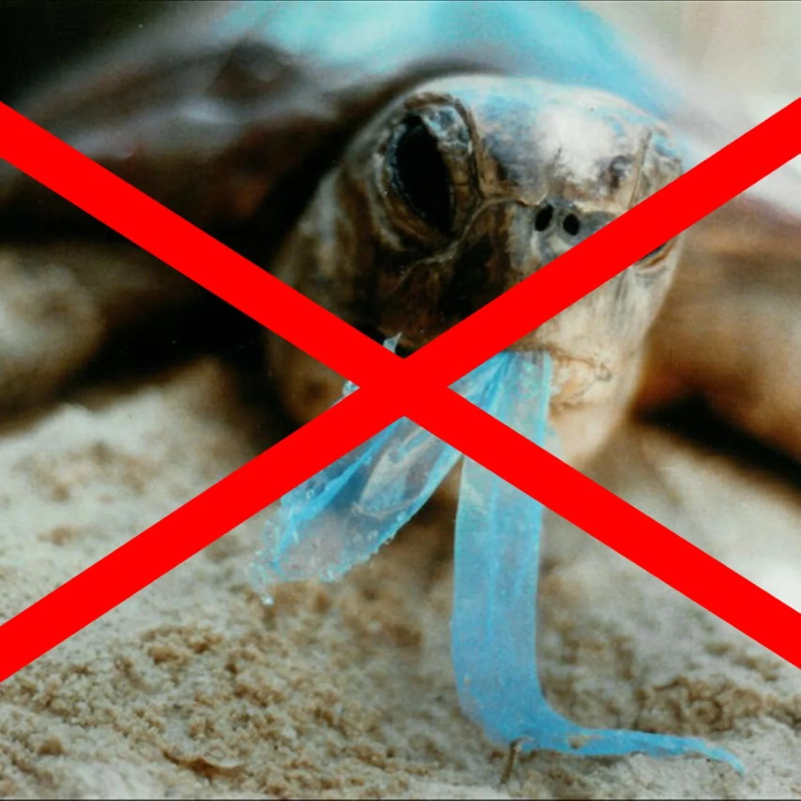 PRE ORDER: MAY - 27lt Organic Compostable Rubbish Bags - Image 5
