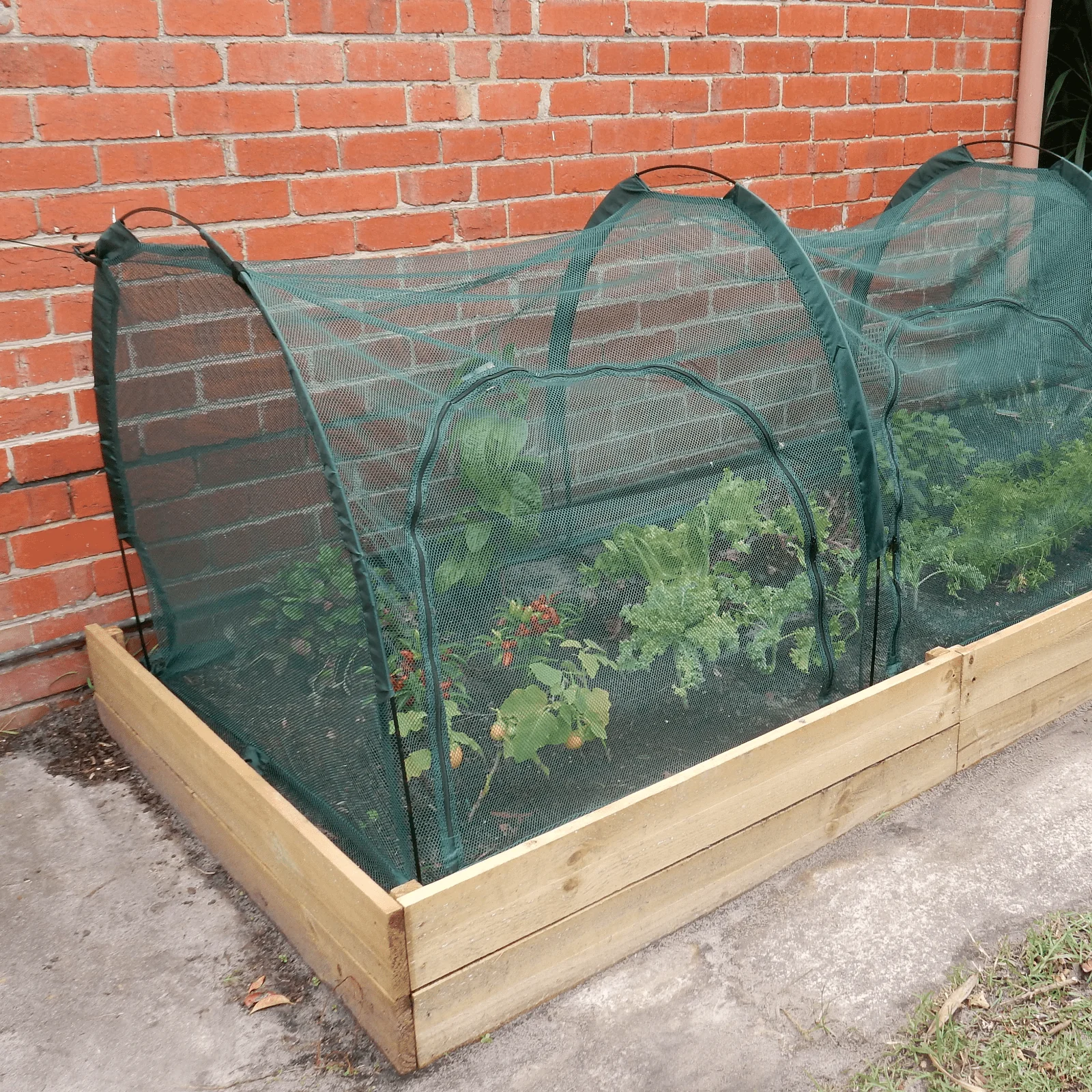 2m NET Garden Tunnel - Image 3