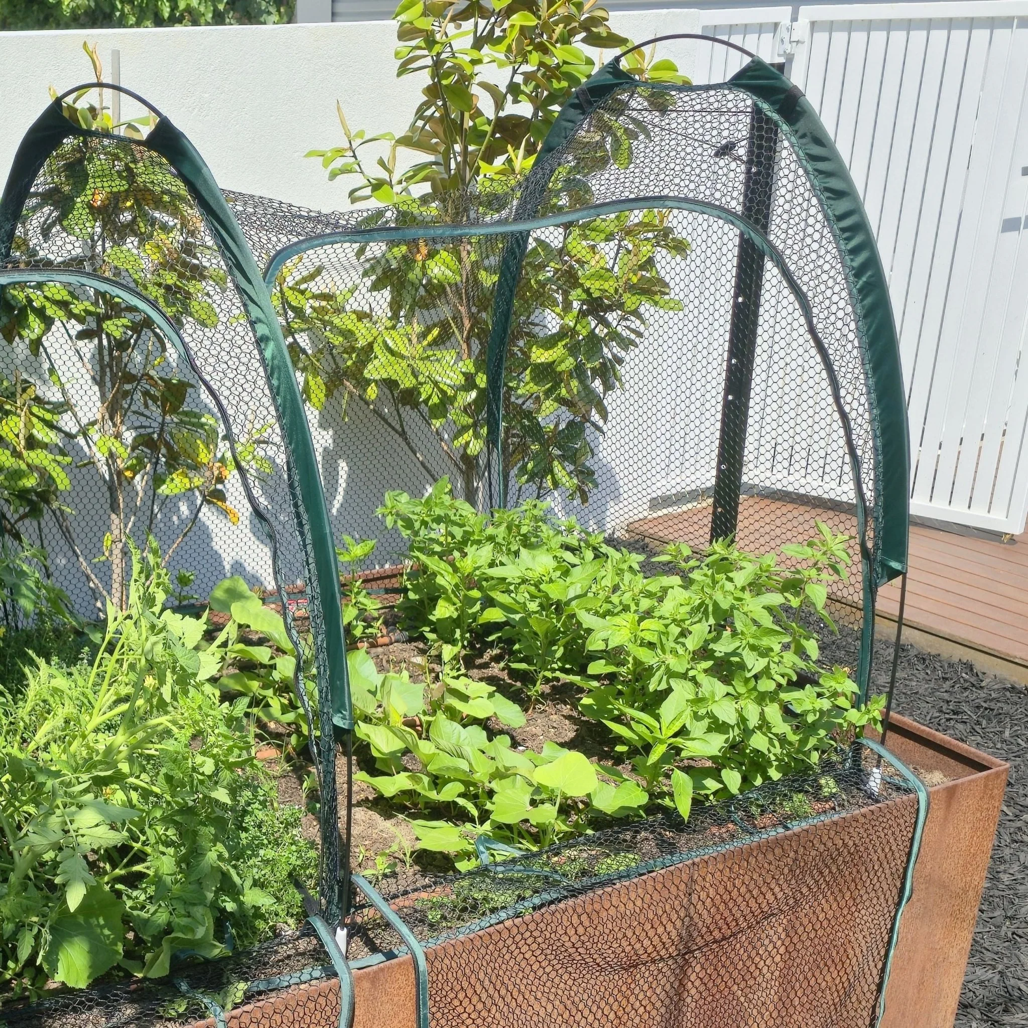 2m POLLINATOR-FRIENDLY Garden Tunnel - Image 3