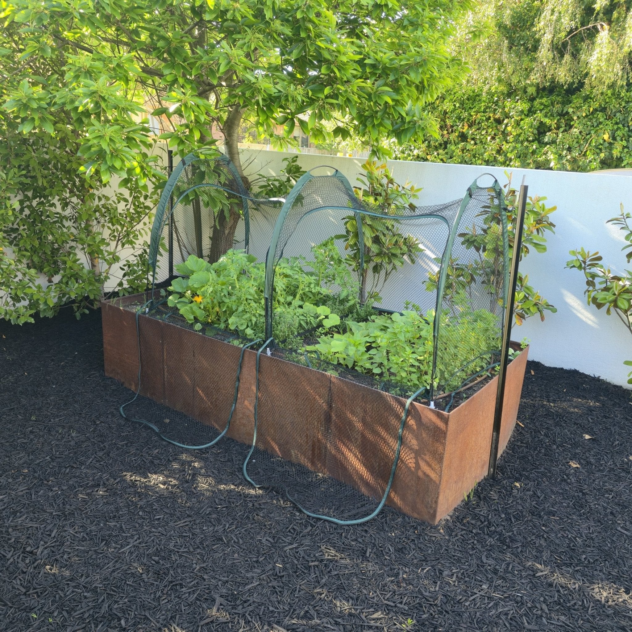 2m POLLINATOR-FRIENDLY Garden Tunnel - Image 6