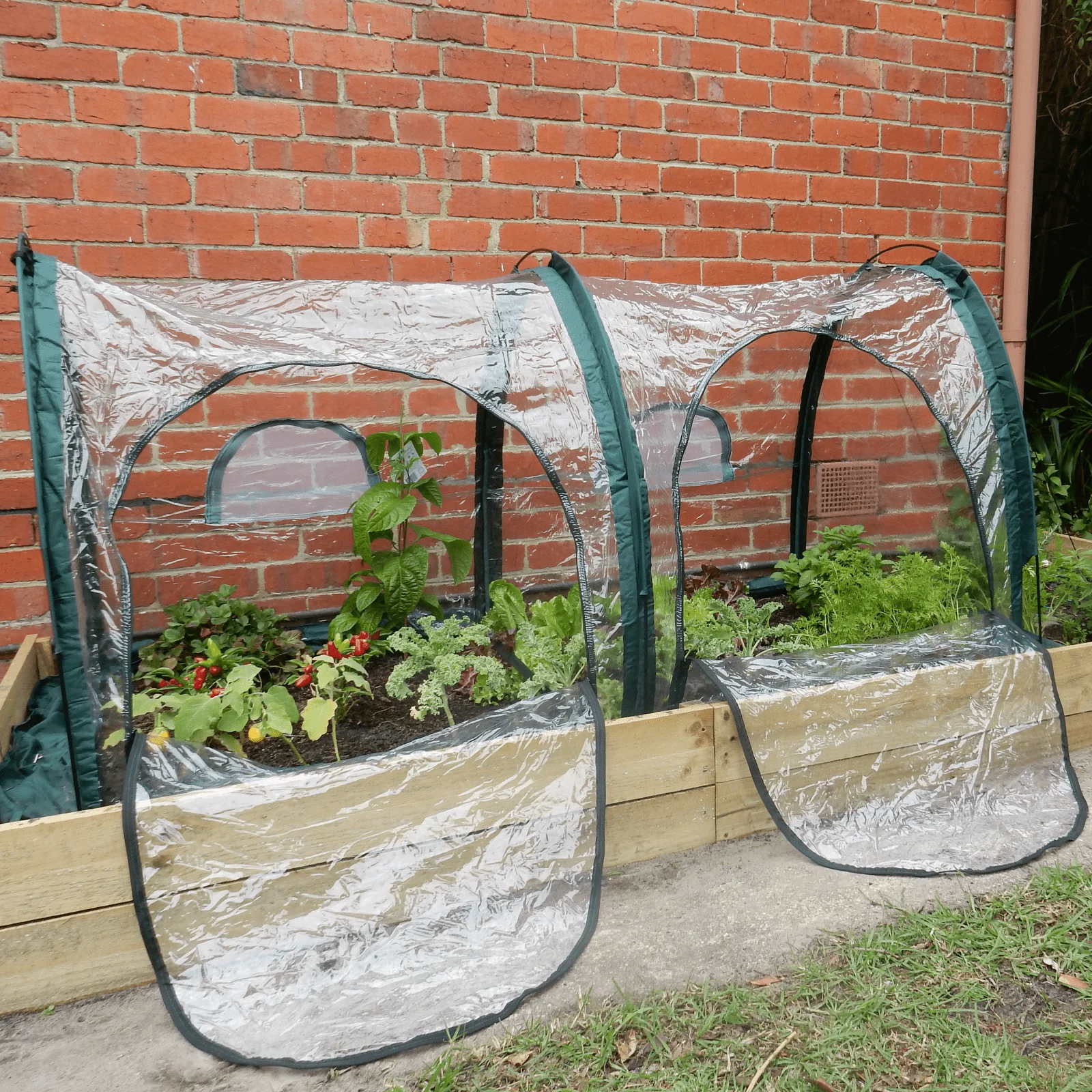 2m POLY Garden Tunnel - Image 3