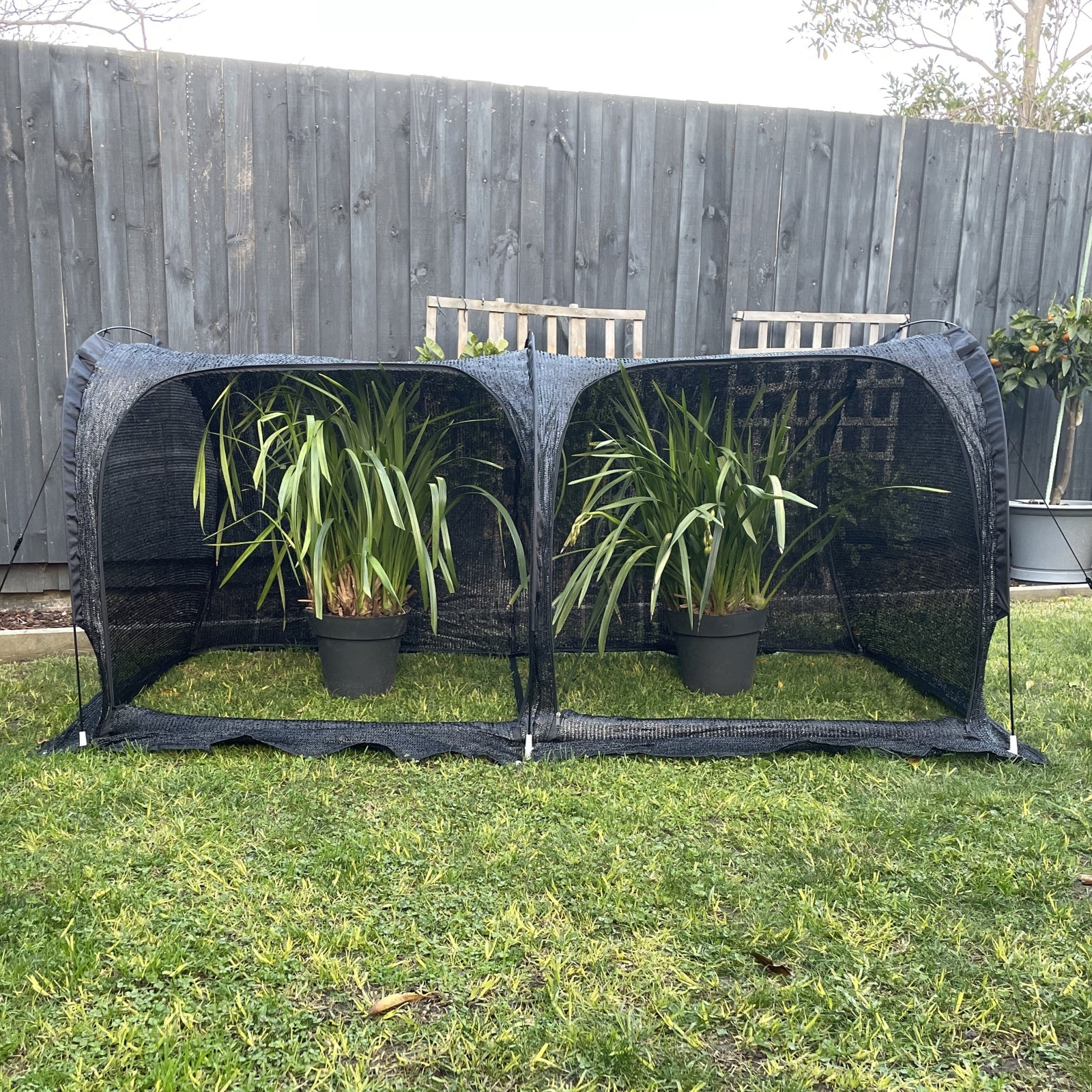 2m SHADE Garden Tunnel - Image 3