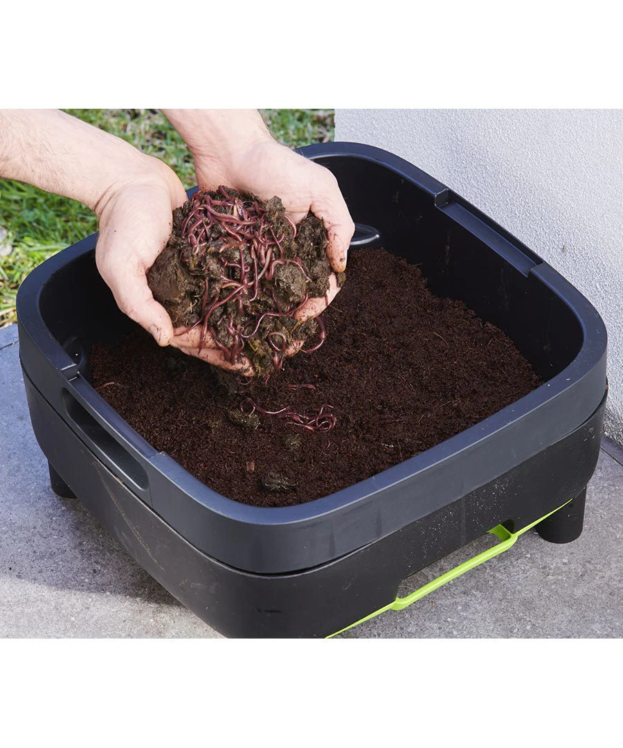 Maze Worm Farm (Three Trays, Legs and Worms) - Image 6