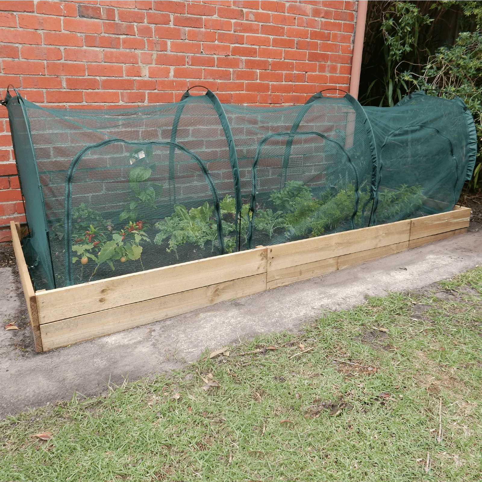 3m NET Garden Tunnel - Image 2