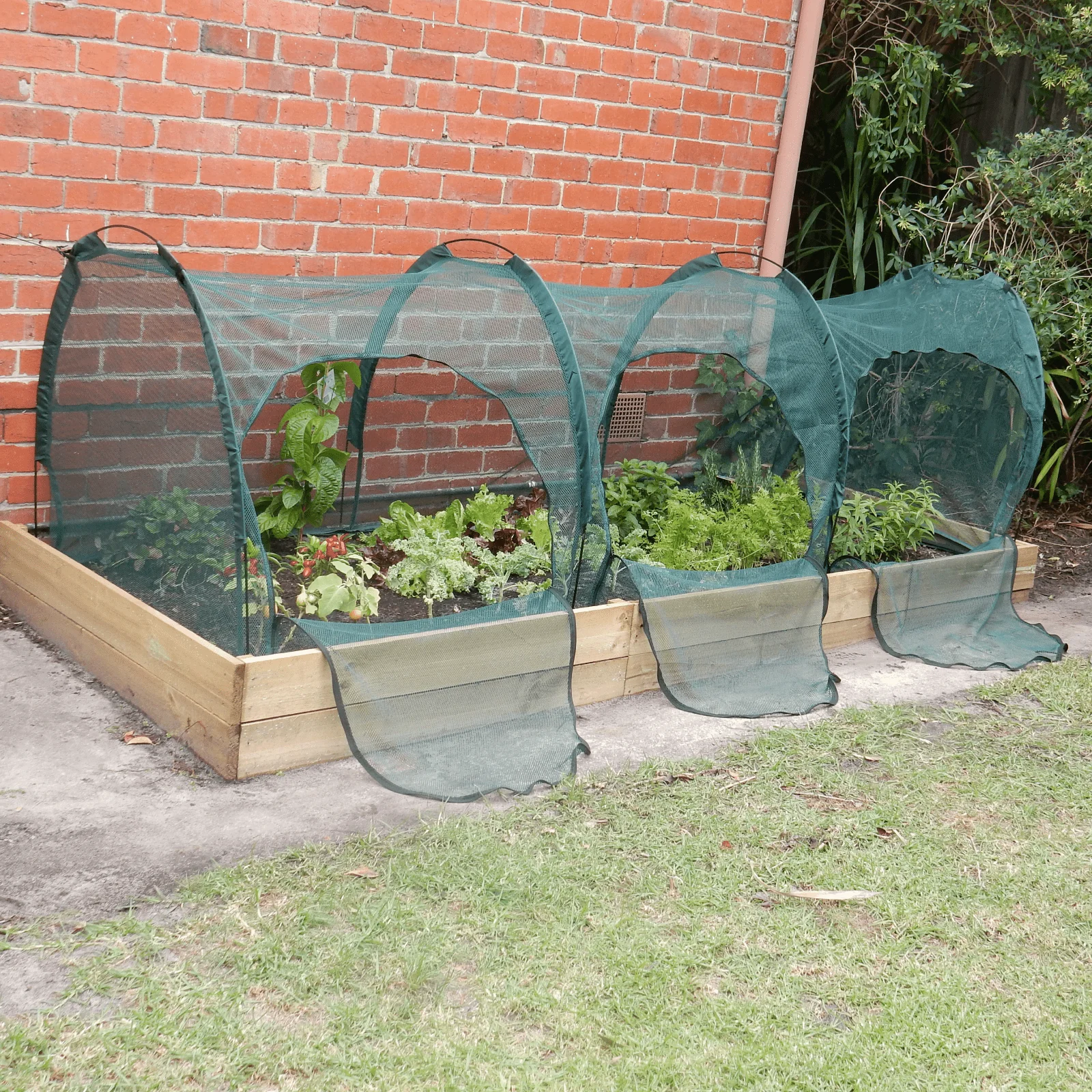 3m NET Garden Tunnel - Image 3