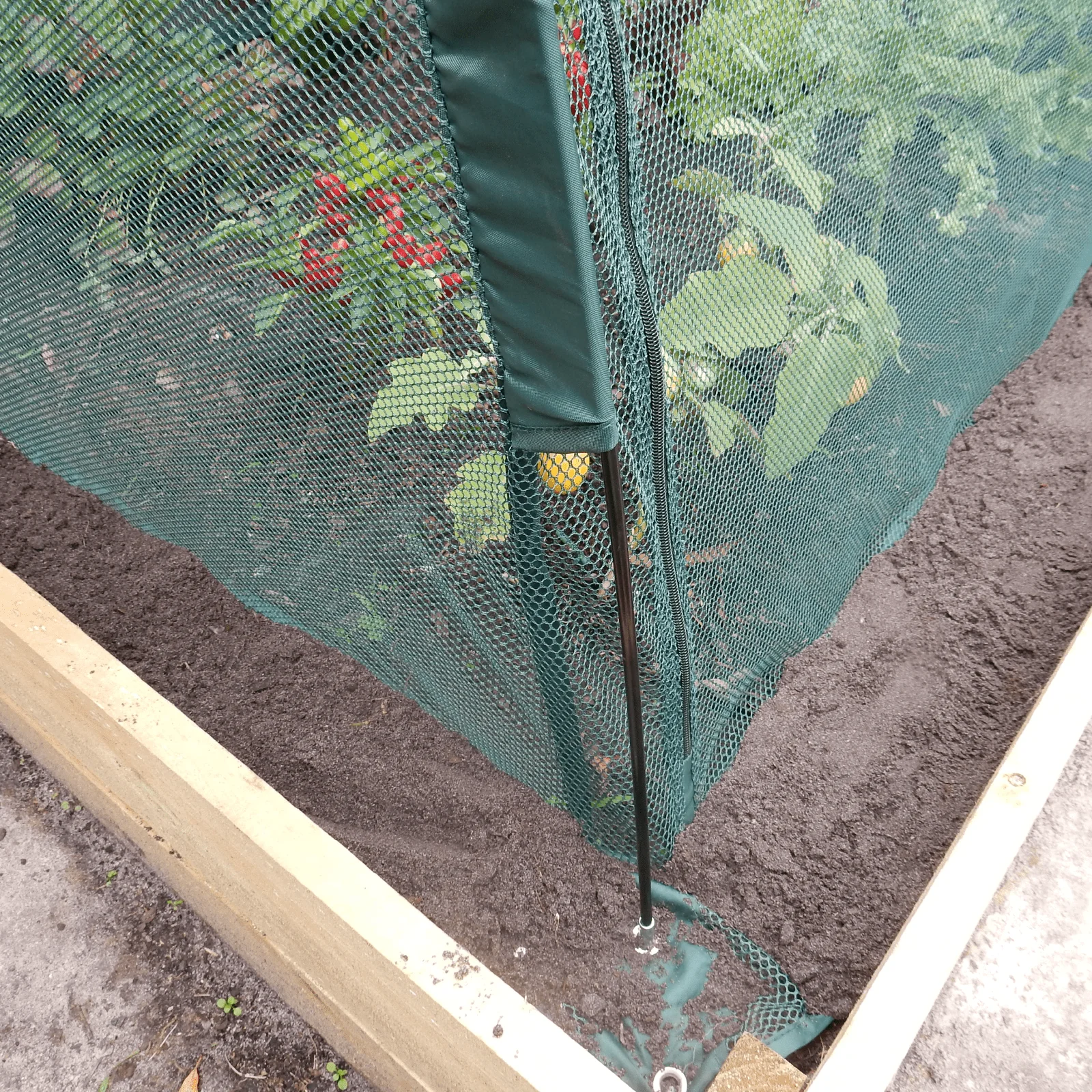3m NET Garden Tunnel - Image 5
