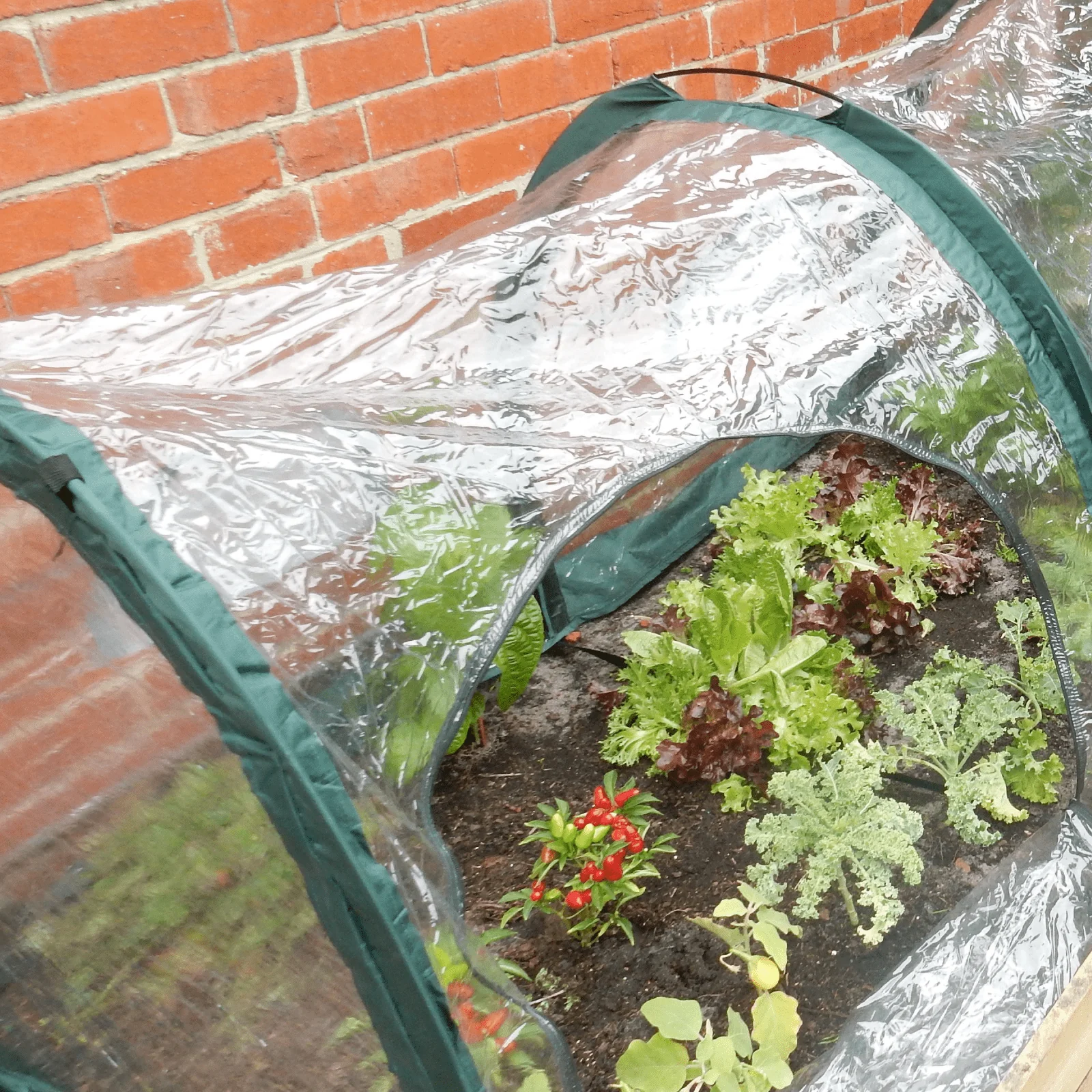 3m POLY Garden Tunnel - Image 3
