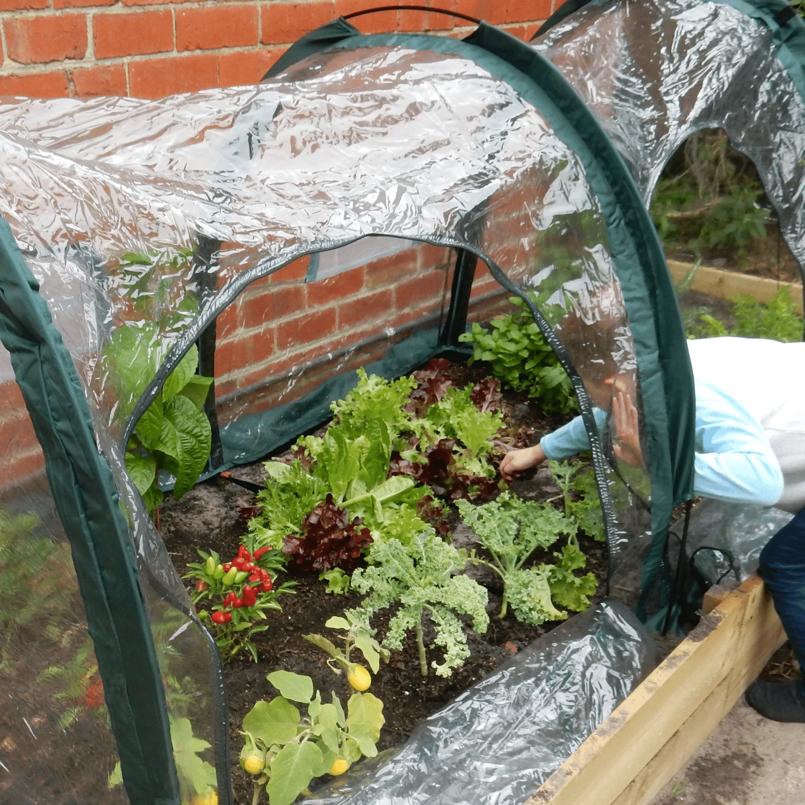 3m POLY Garden Tunnel - Image 4