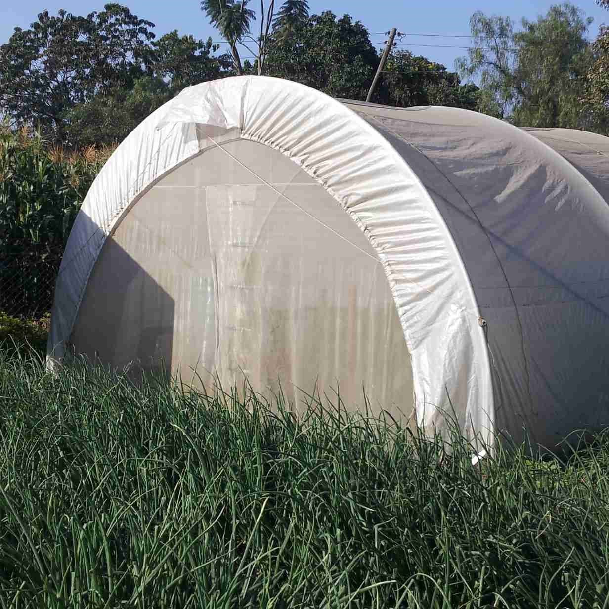 6 x 12m Tunnel Greenhouse with Side Curtains - STK COMPACT - Image 3
