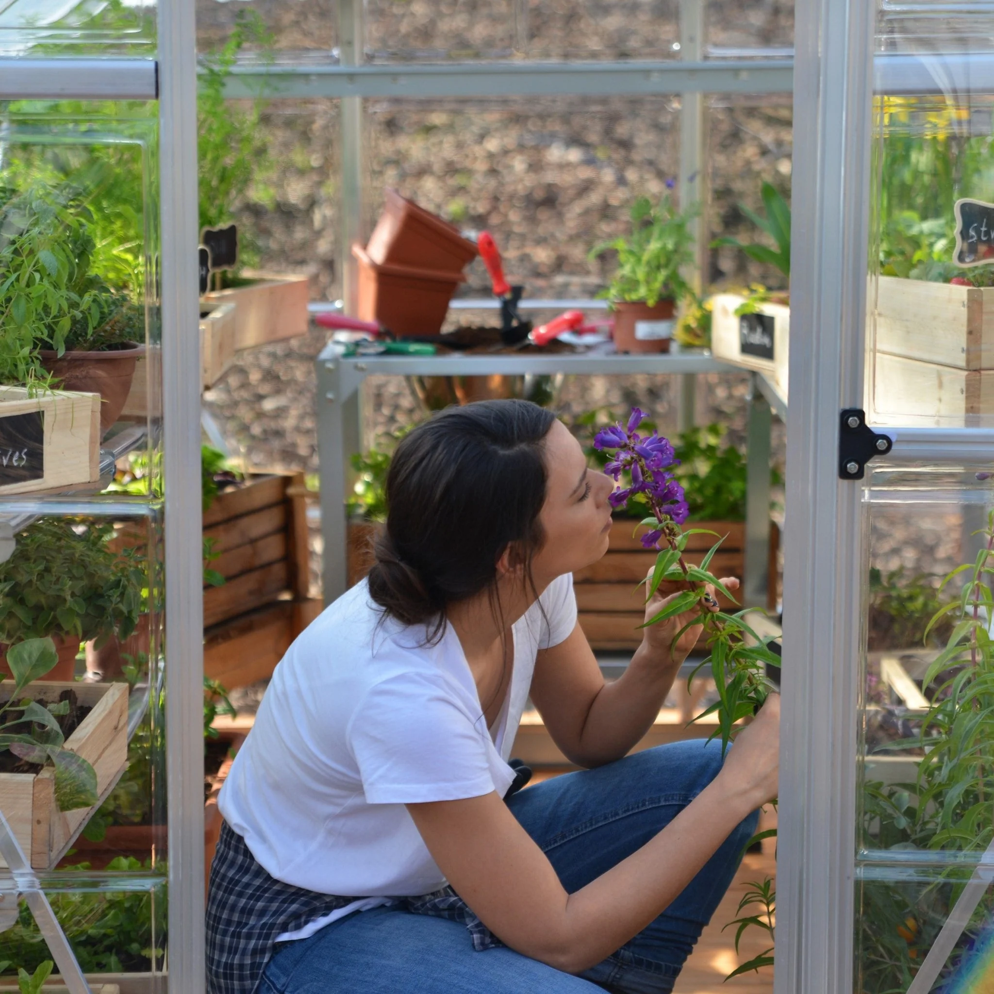 6' x 14' Hybrid Greenhouse - Silver Frame (1.9m x 4.3m) - Image 3