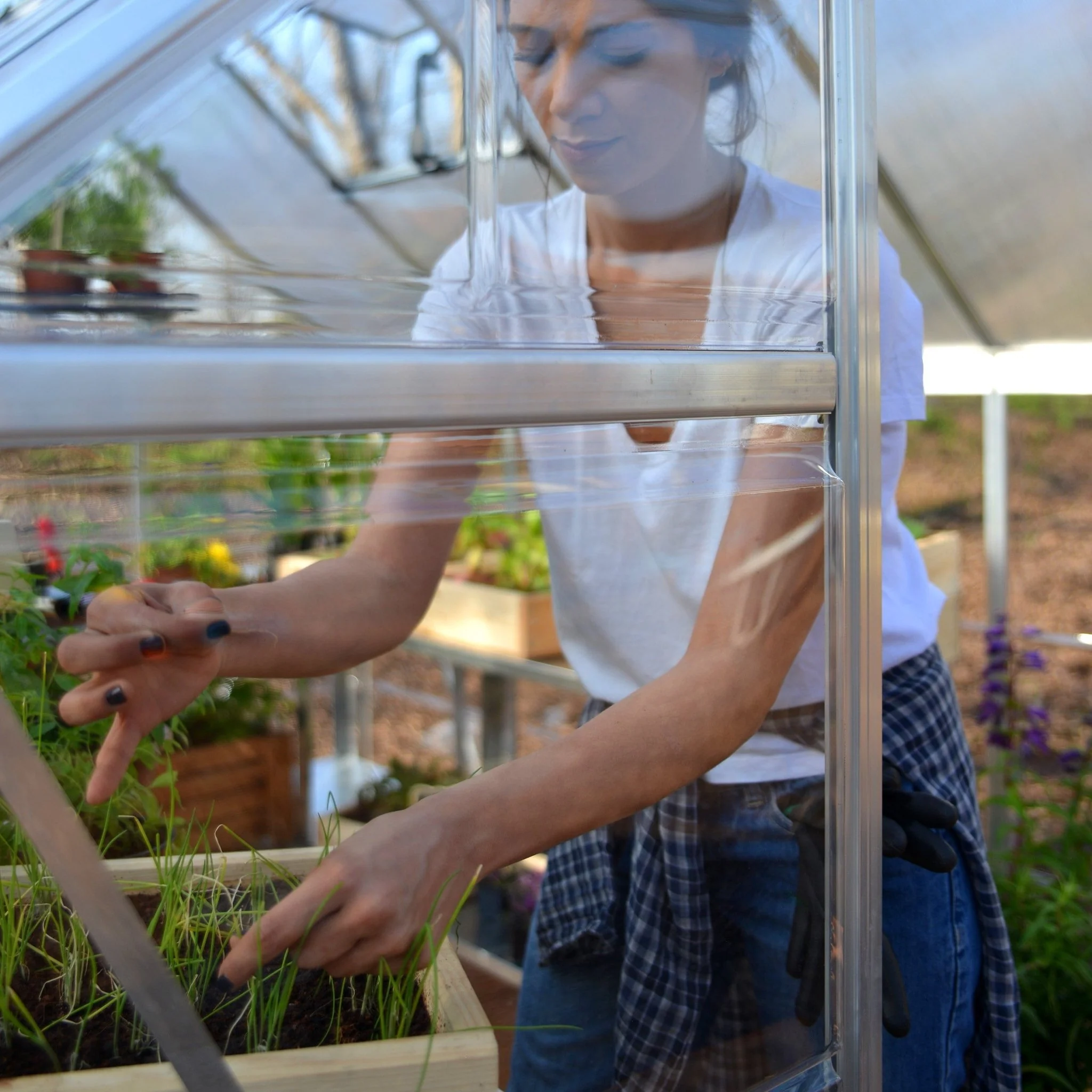 6' x 14' Hybrid Greenhouse - Silver Frame (1.9m x 4.3m) - Image 4