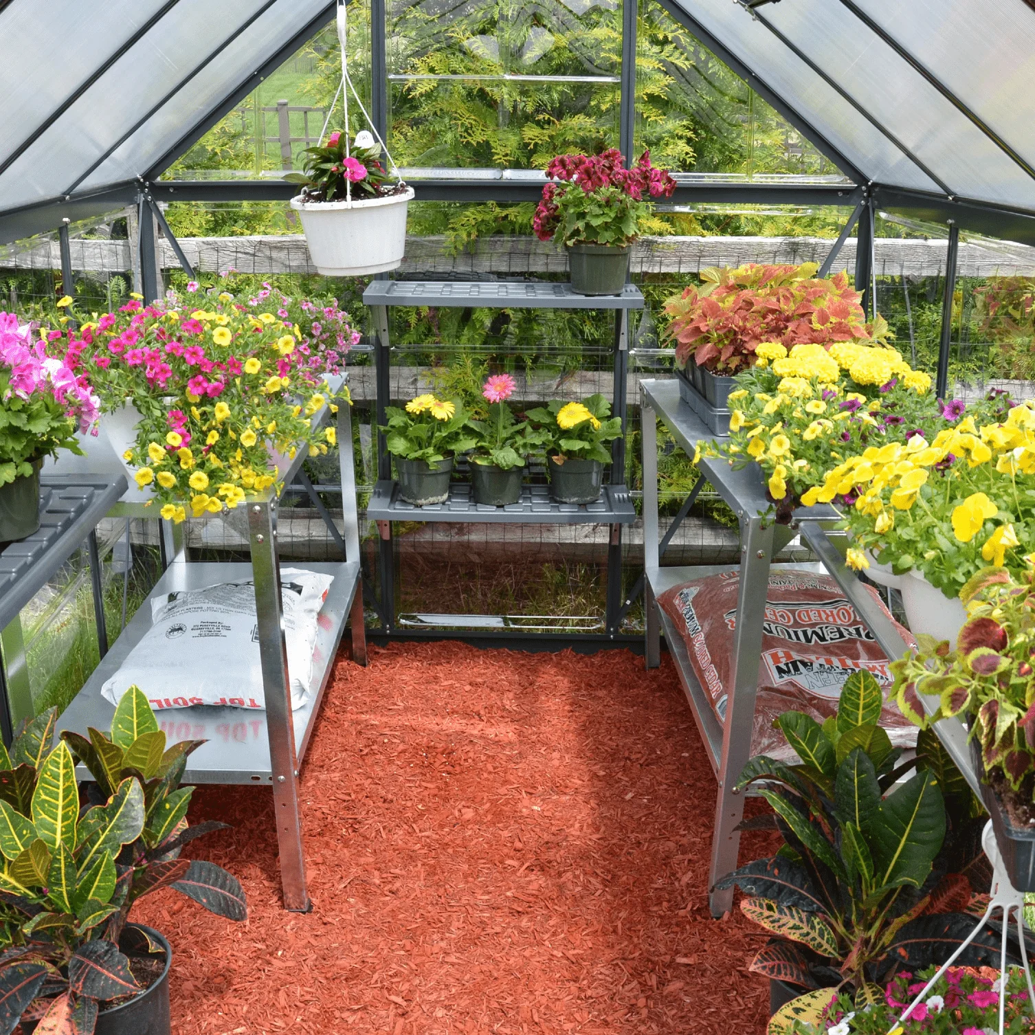 6' x 6' Hybrid Greenhouse - Grey Frame (1.9m x 1.9m) - Image 3