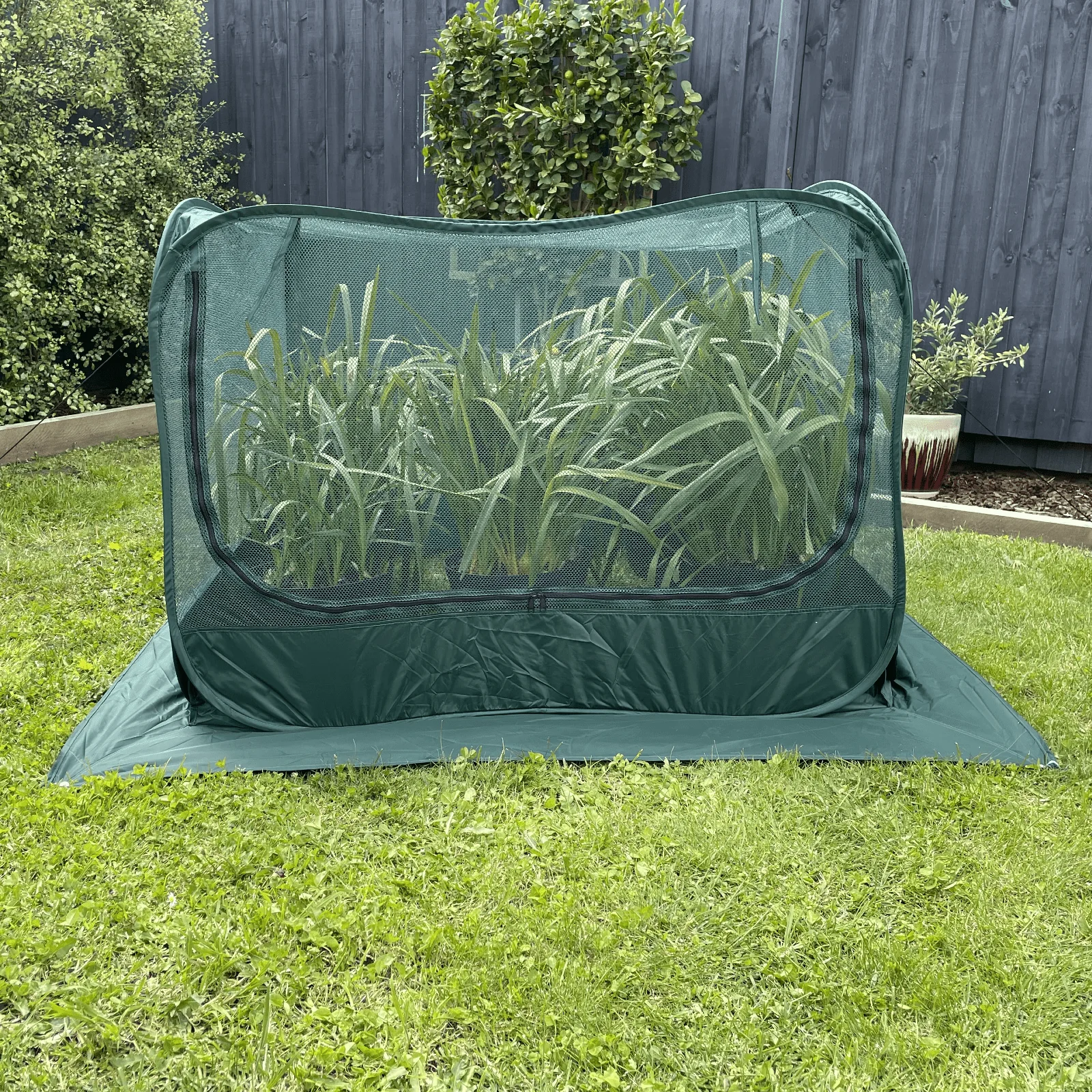 NET Garden Cover - 1.25m2 x 0.92m High - Image 2