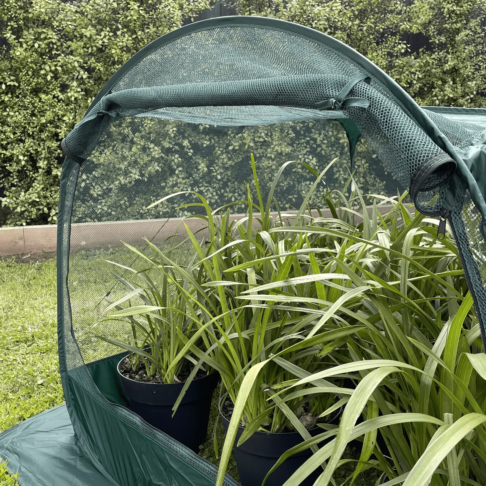 NET Garden Cover - 1.25m2 x 0.92m High - Image 4