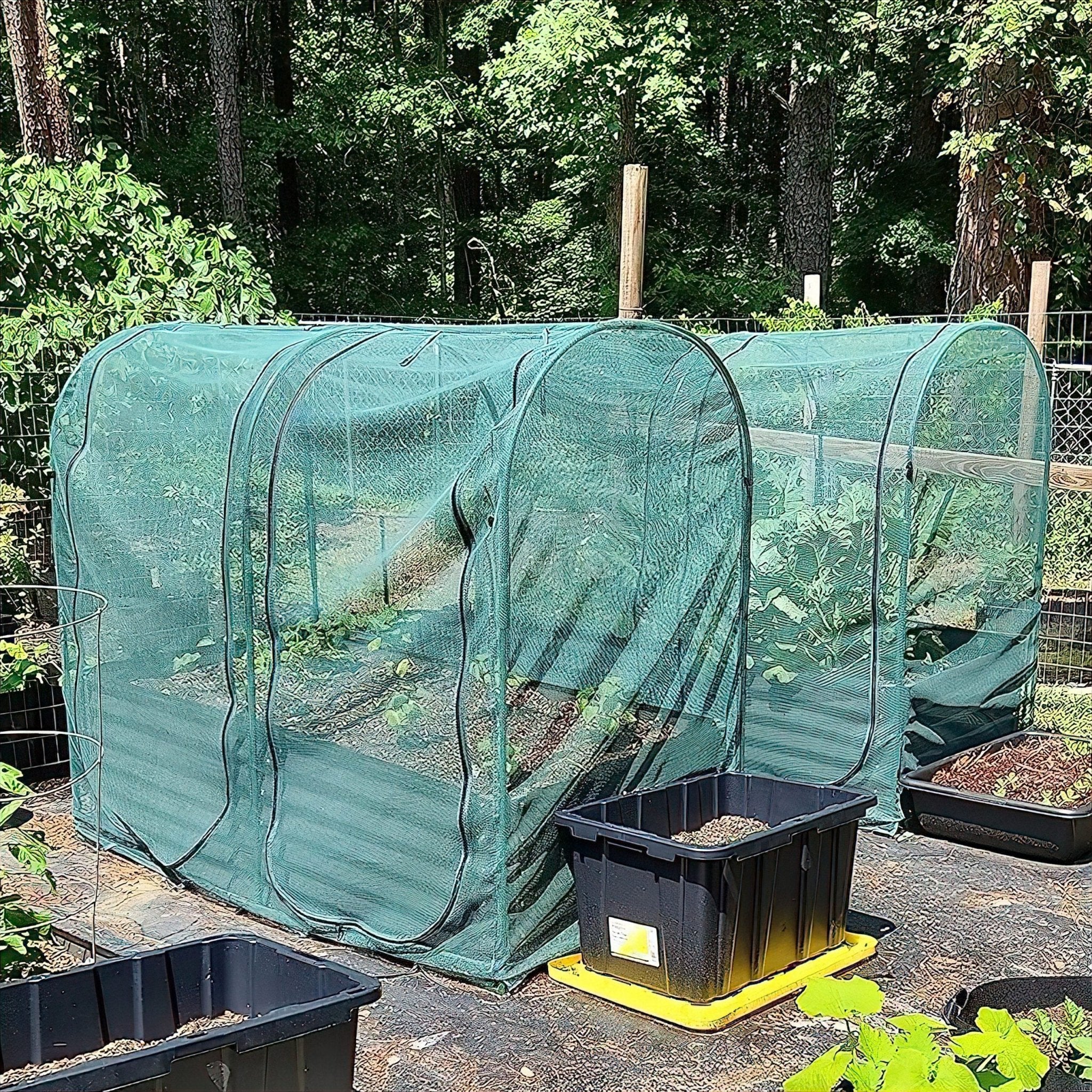 ARCH NET Crop Protection Cage - Medium - Image 3