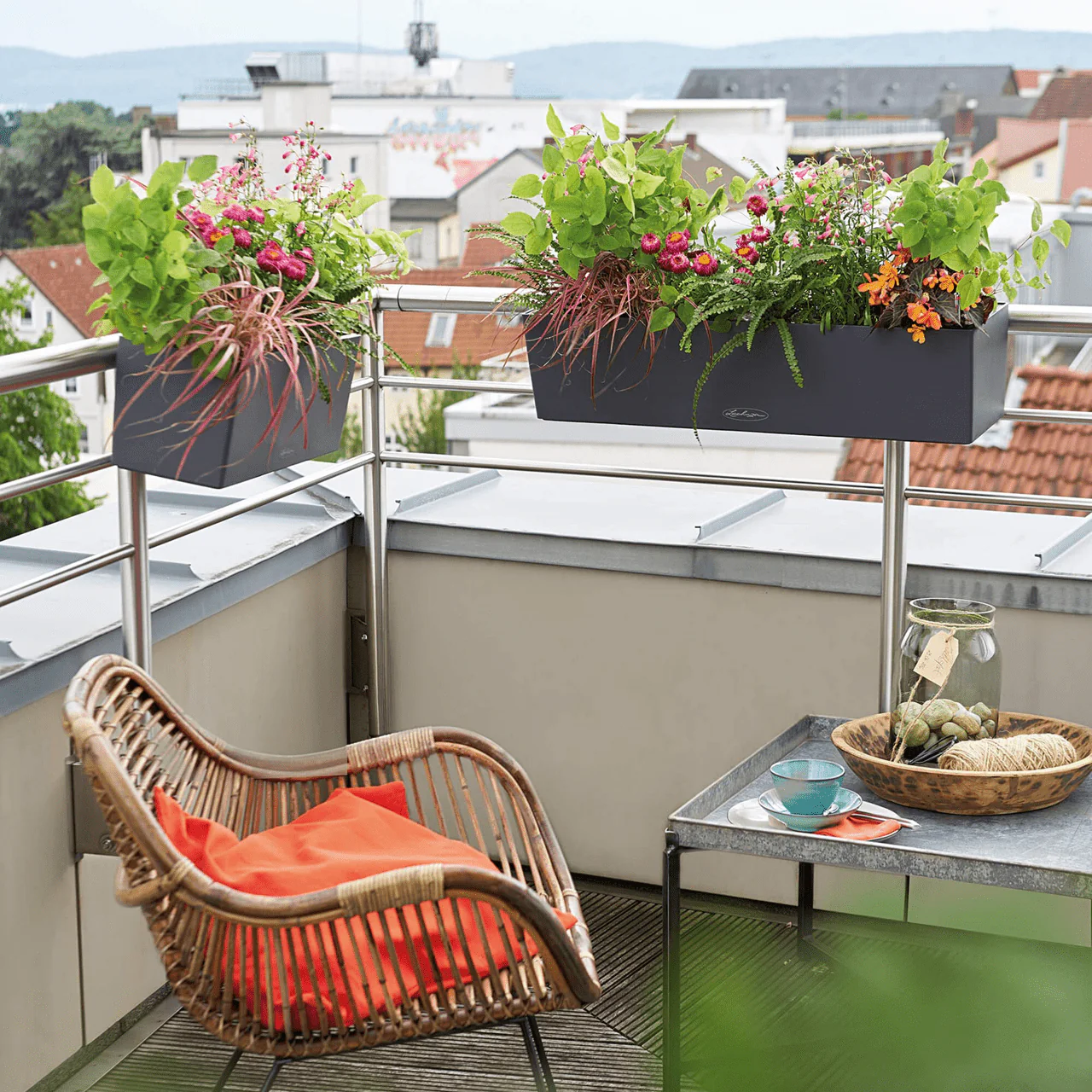 BALCONERA Color 50 - Image 16