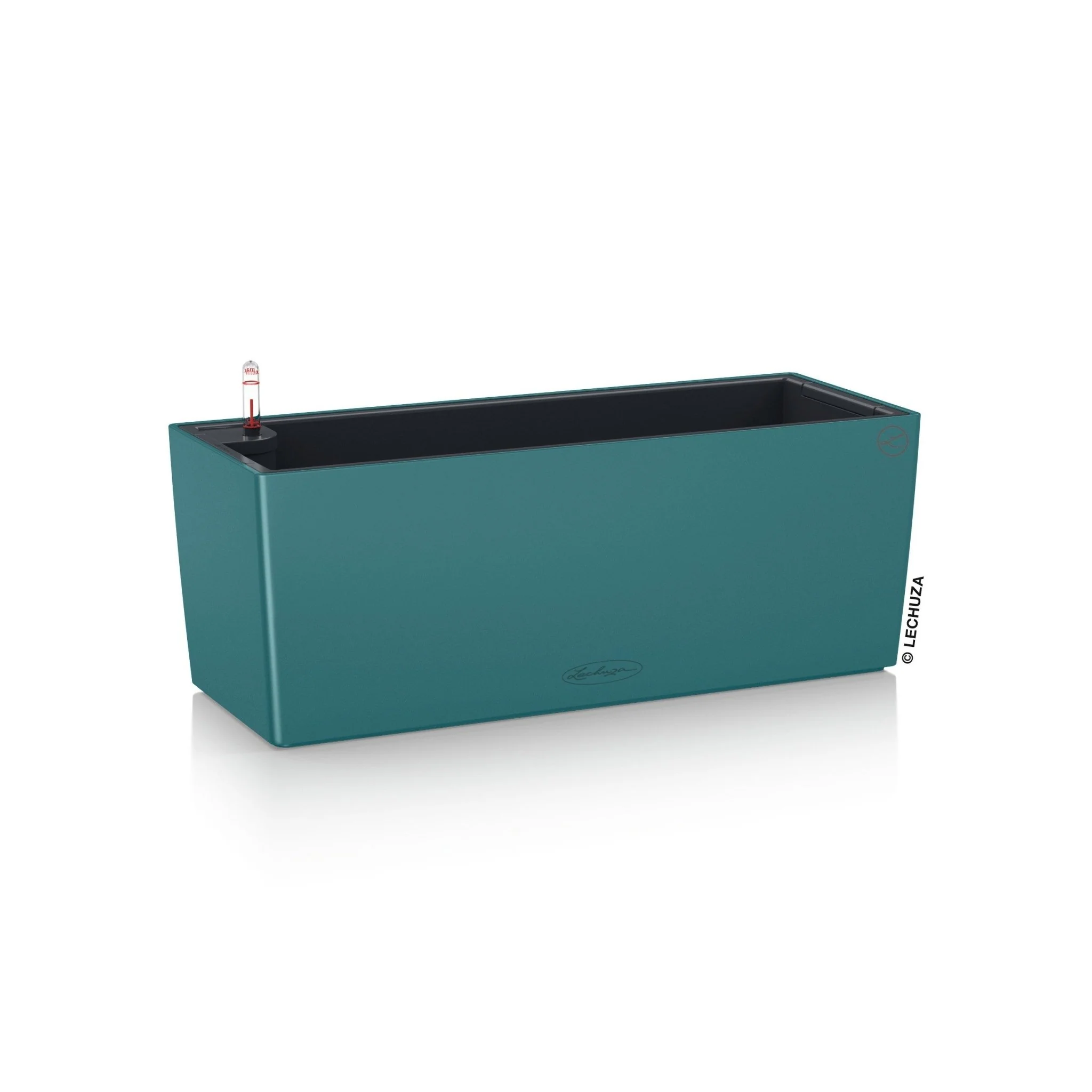 BALCONERA Color 50 - Image 6