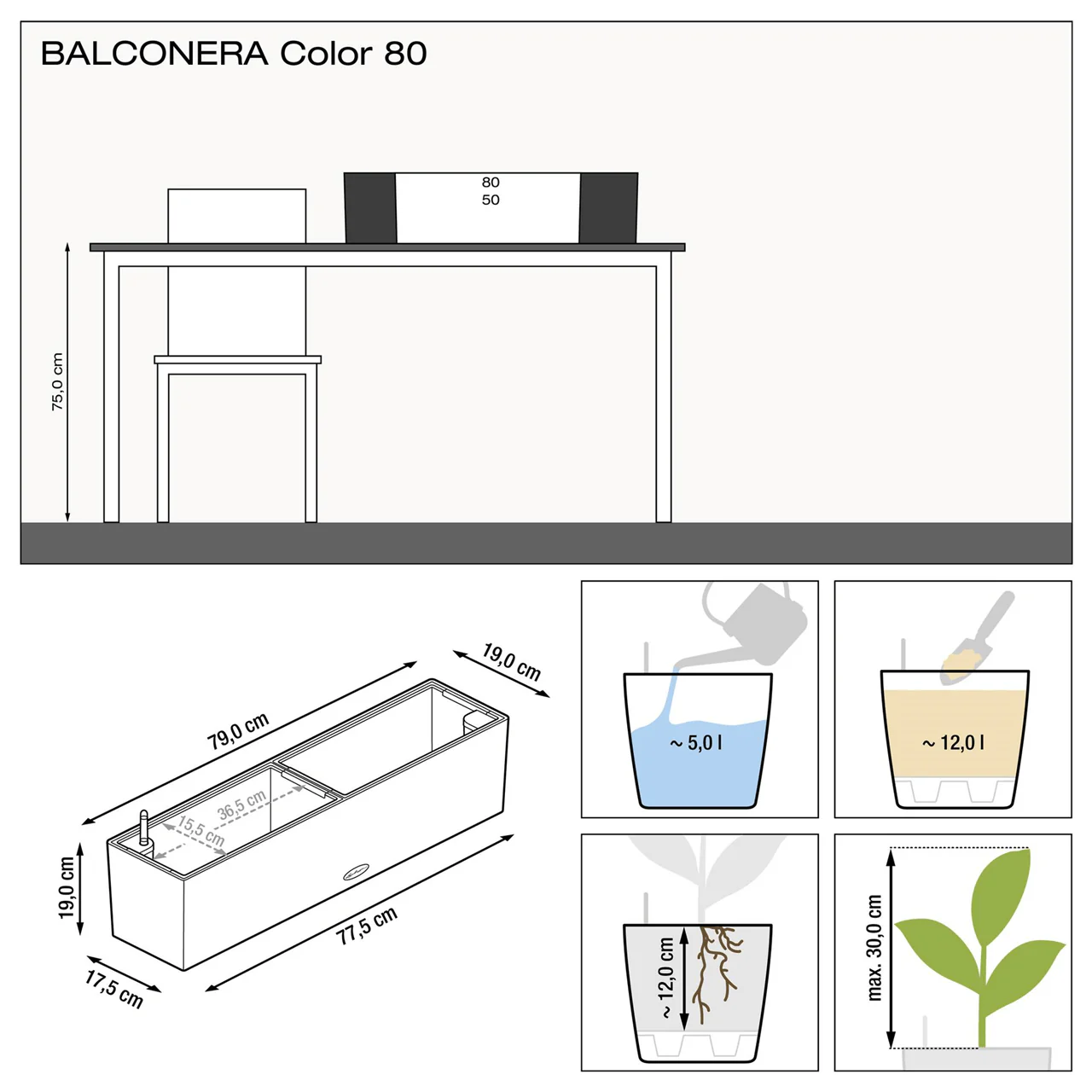 BALCONERA Color 80 - Image 8