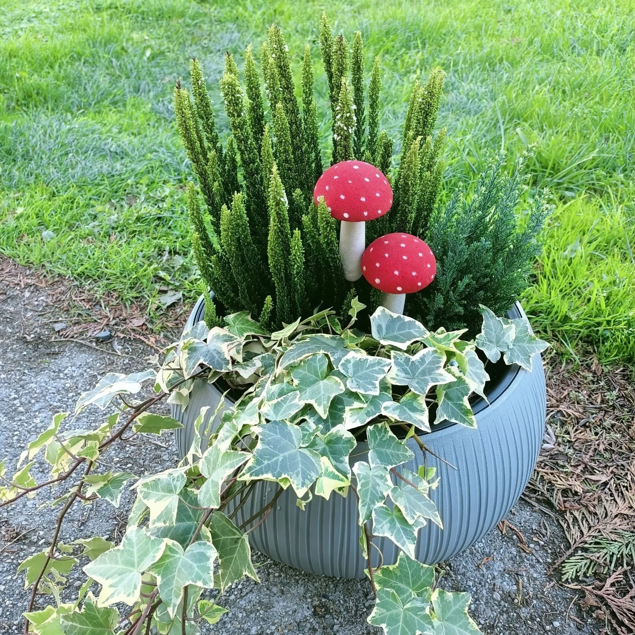 Beton Bowl Planter 370 - Image 6
