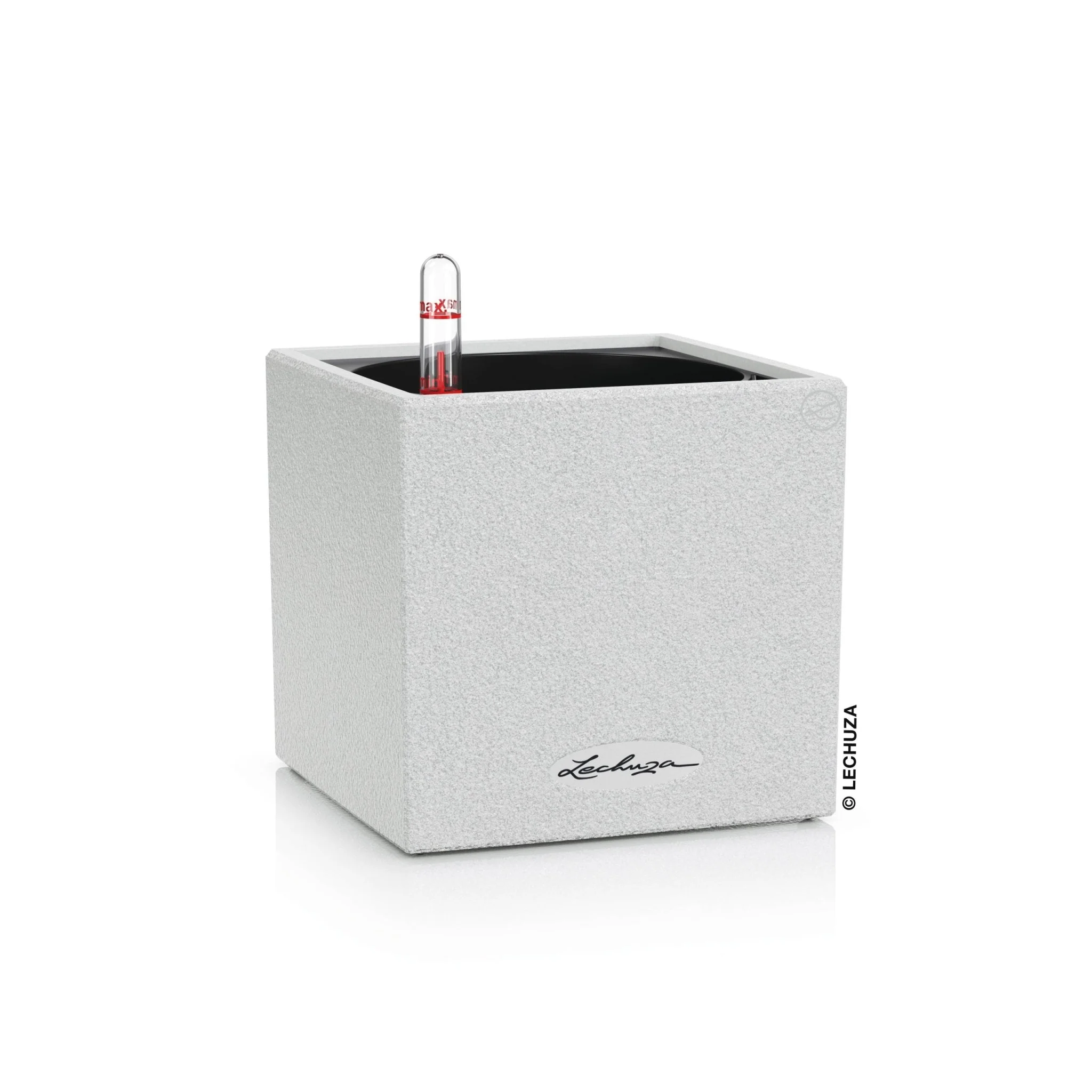 CANTO Stone 14 - Image 2