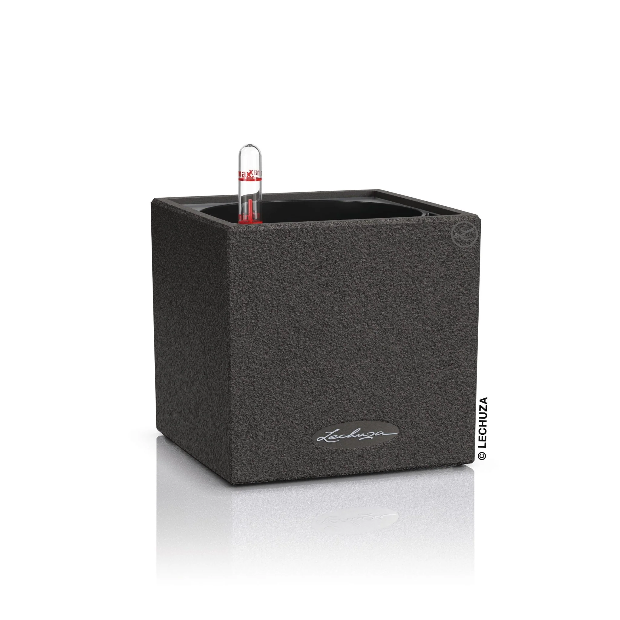 CANTO Stone 14 - Image 3