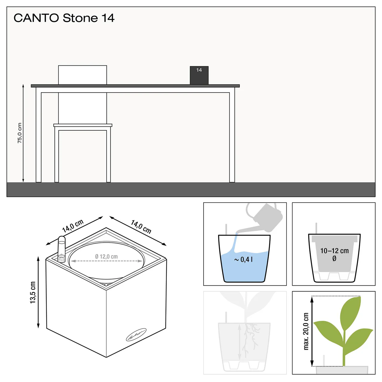 CANTO Stone 14 - Image 6