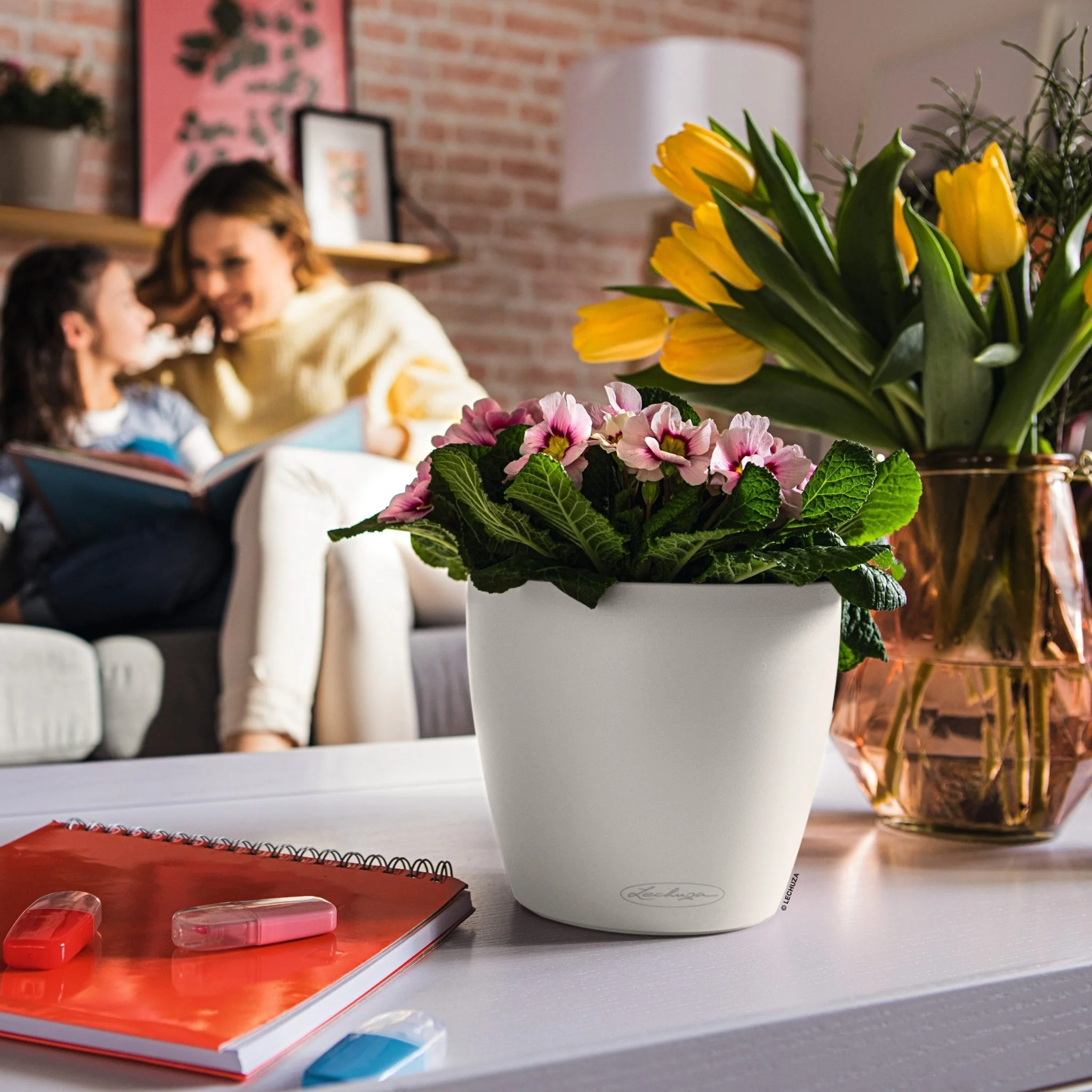 CLASSICO Color 18 - Image 10