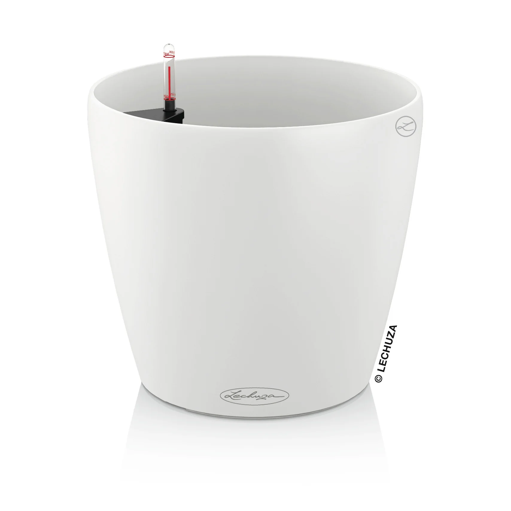CLASSICO Color 18 - Image 2