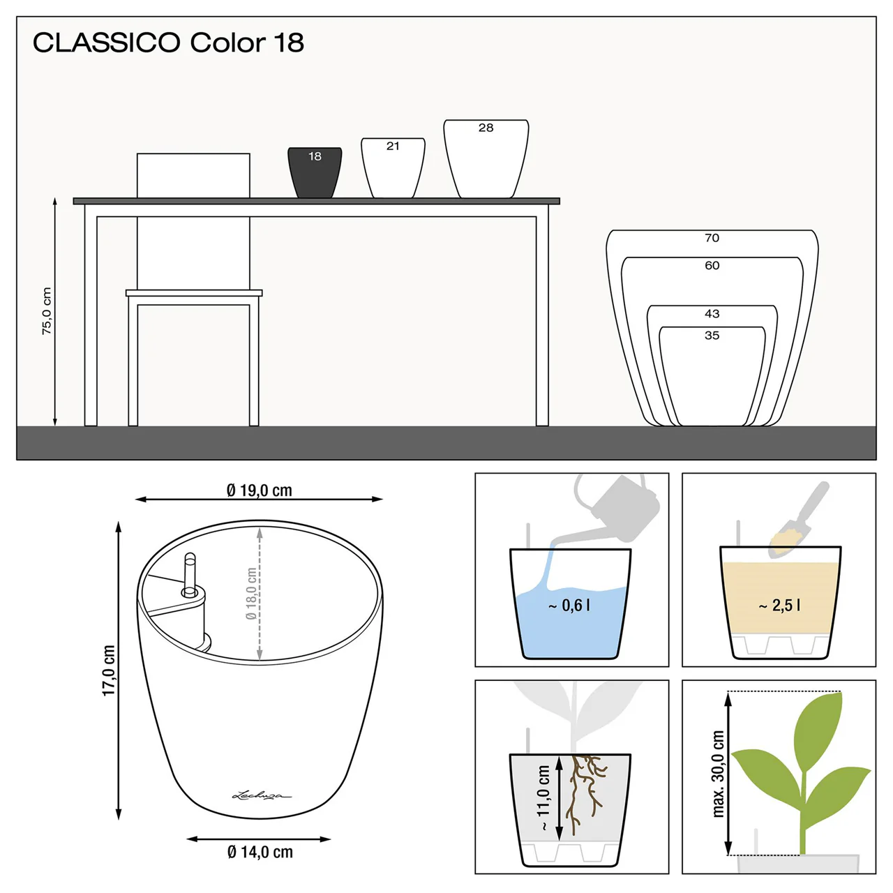 CLASSICO Color 18 - Image 5