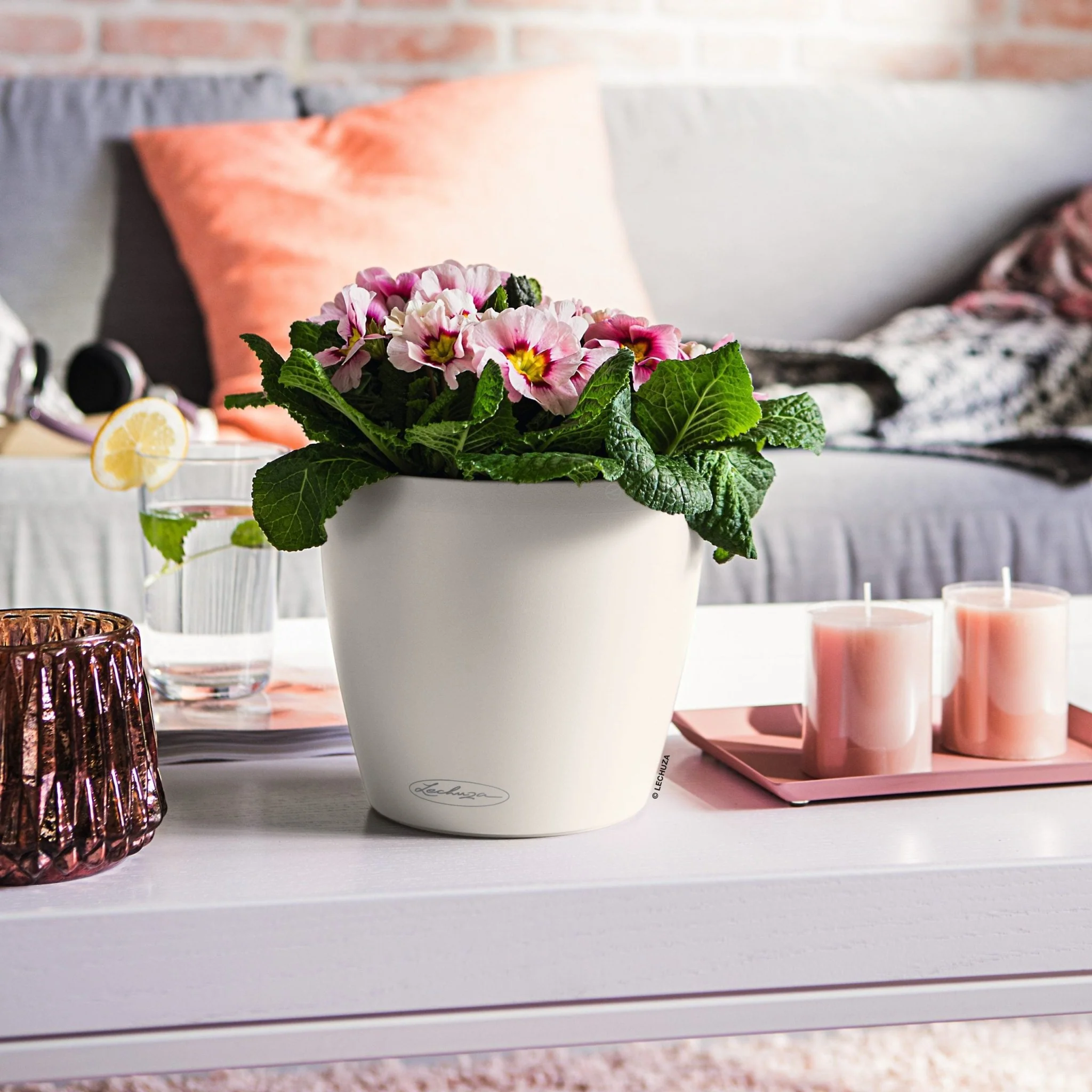 CLASSICO Color 18 - Image 9