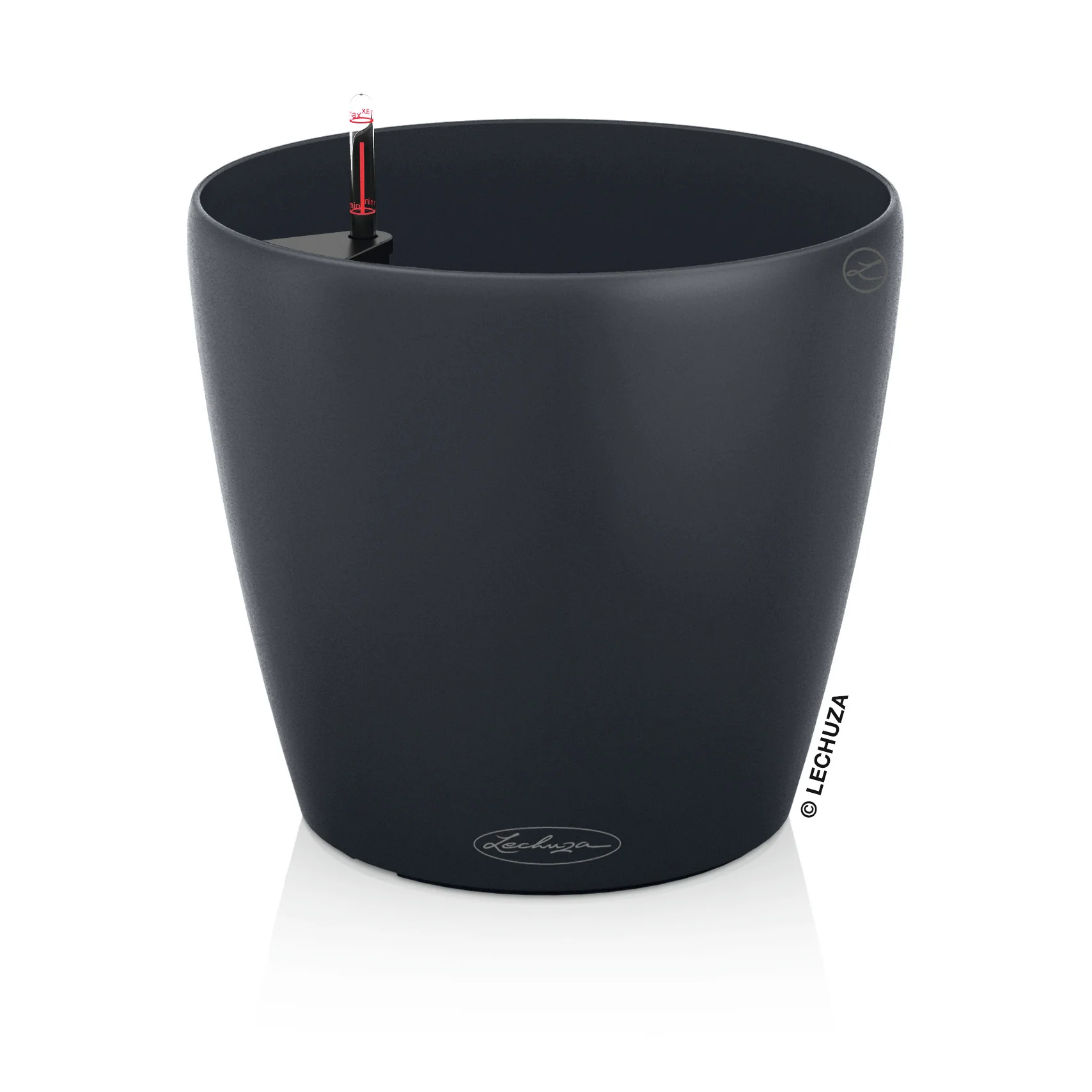 CLASSICO Color 21 - Image 3