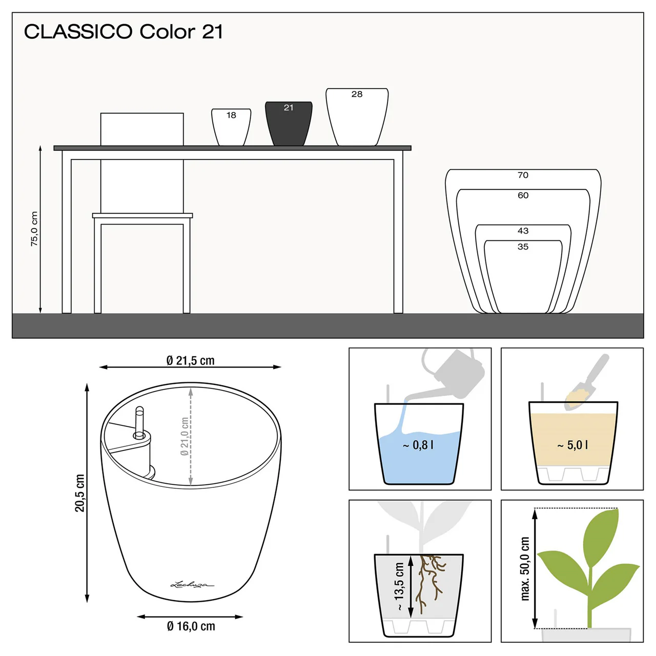 CLASSICO Color 21 - Image 5