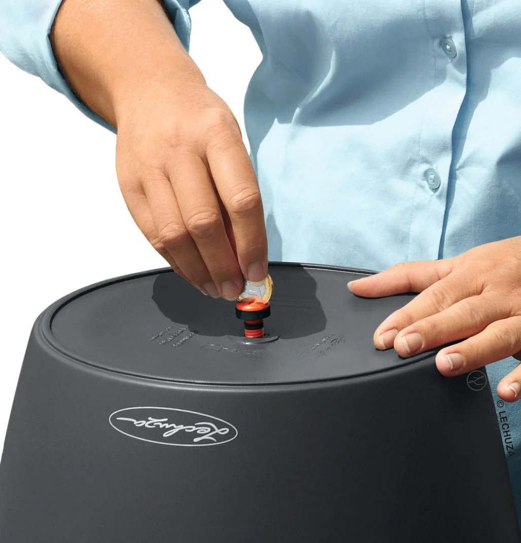 CLASSICO Color 21 - Image 8