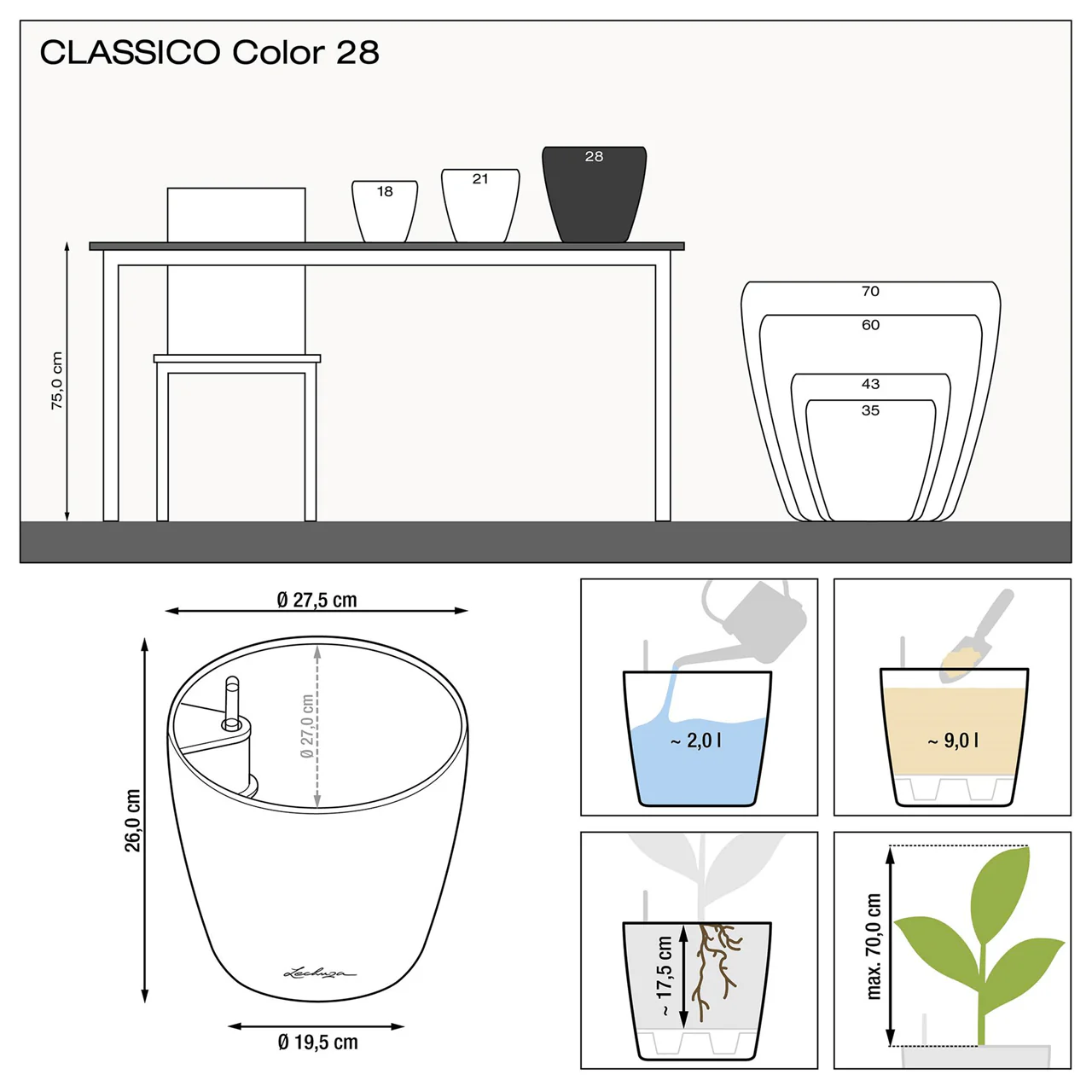 CLASSICO Color 28 - Image 5