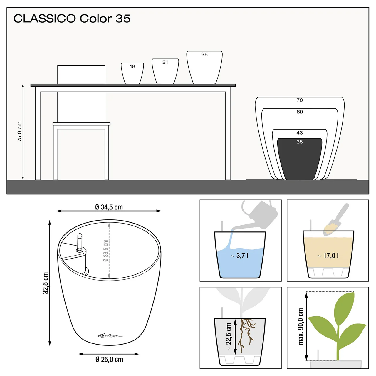 CLASSICO Color 35 - Image 5