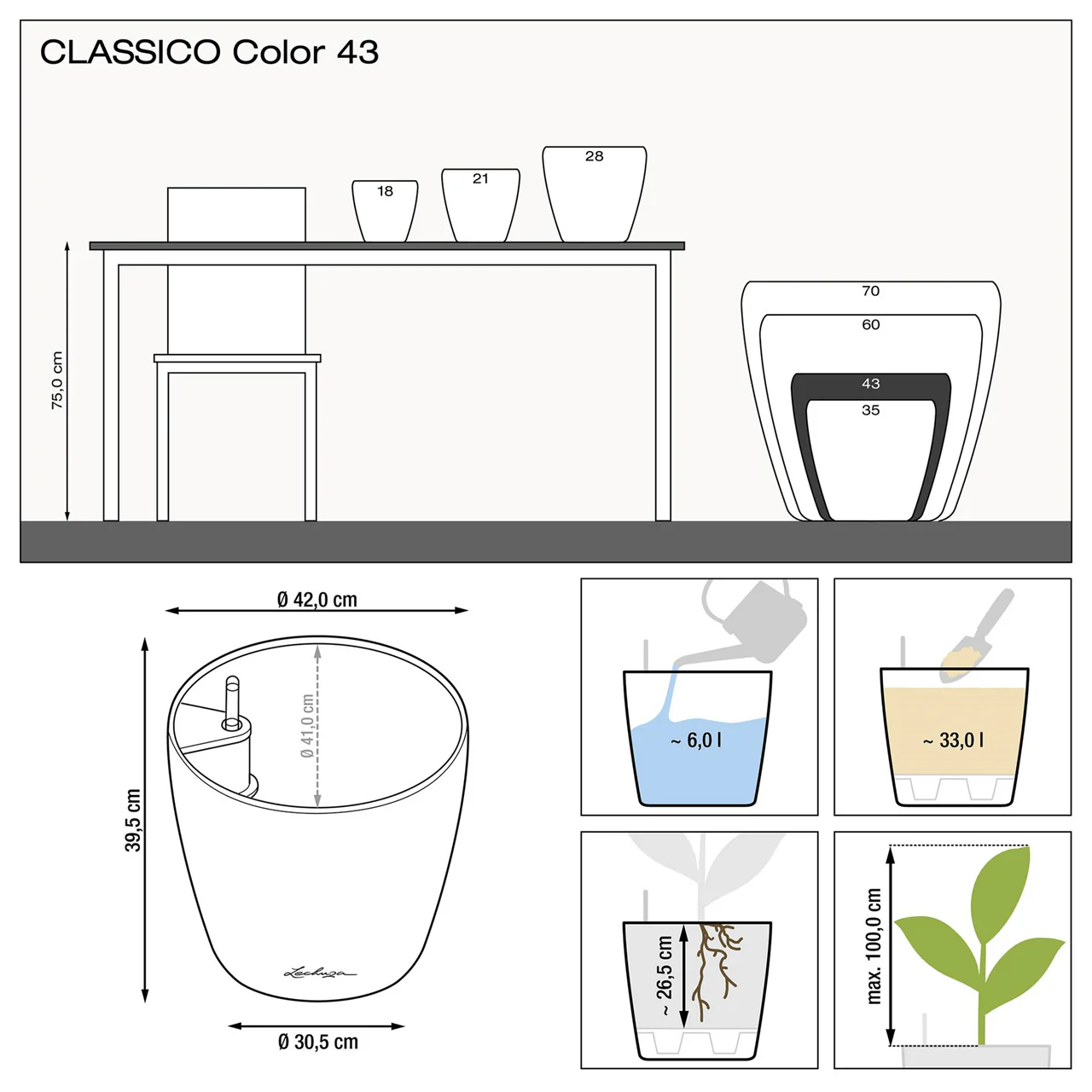 PRE ORDER: MAR. - CLASSICO Color 43 - Image 5