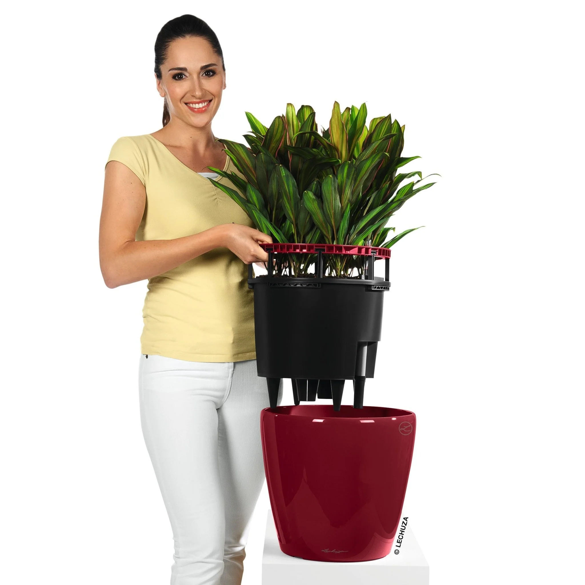 CLASSICO LS 21 Premium - Image 10