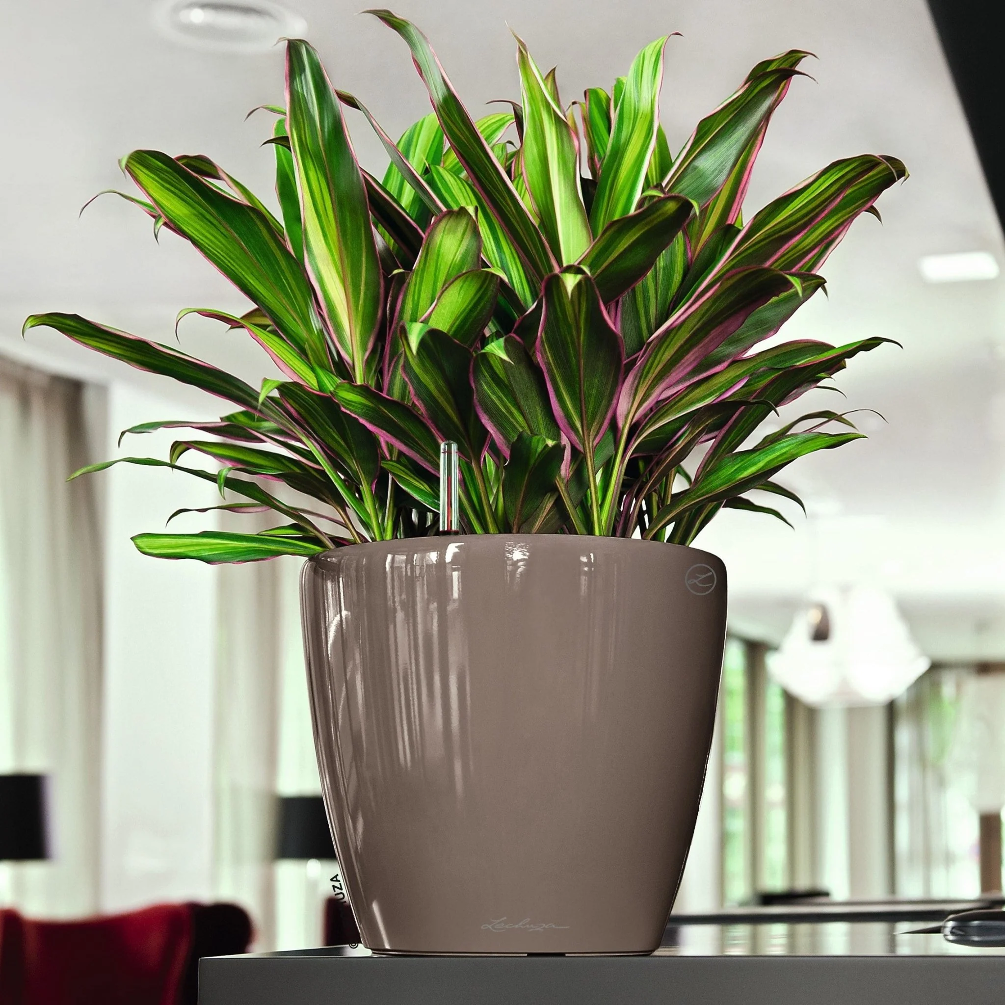CLASSICO LS 28 Premium - Image 12