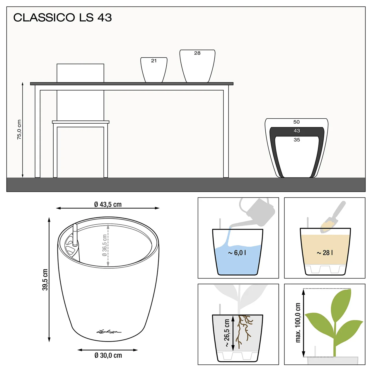 CLASSICO LS 43 Premium - Image 7
