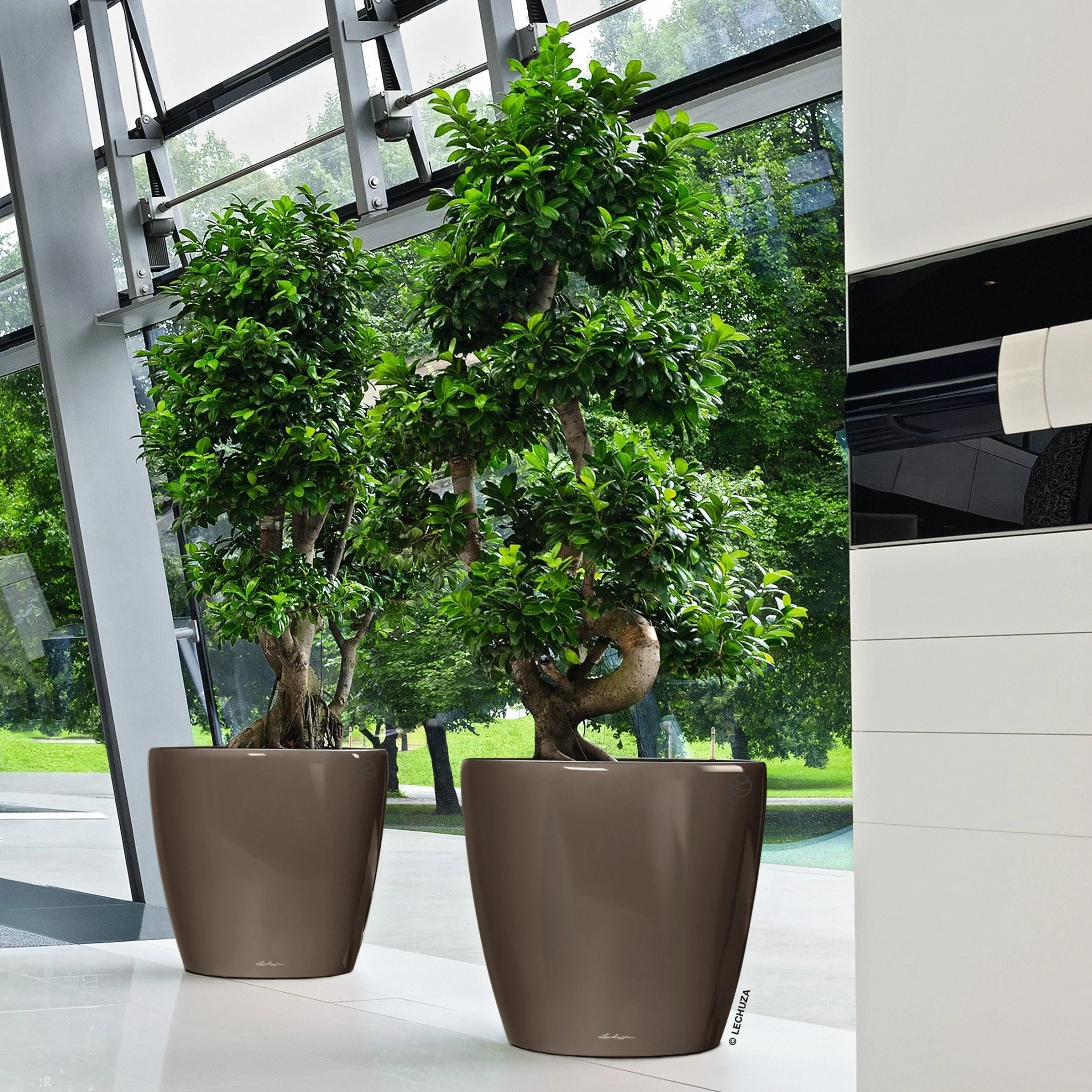 CLASSICO LS 50 Premium - Image 12