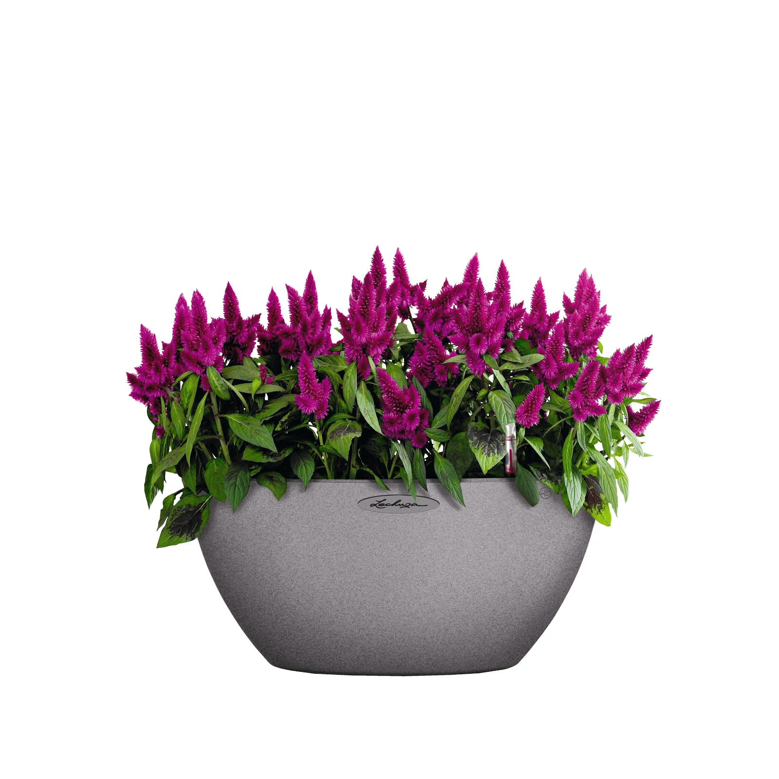 CUBETO Stone 30 Bowl