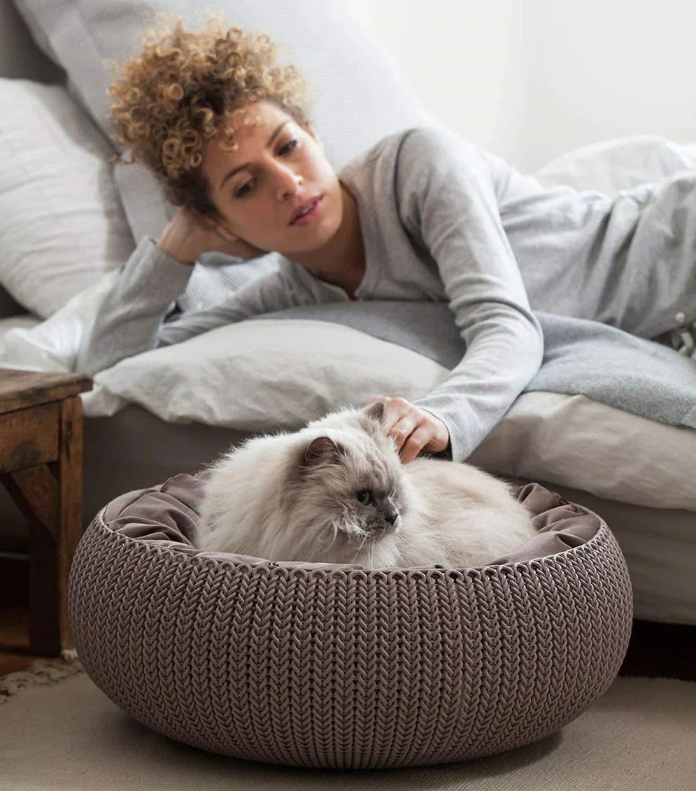 Curver Cozy Pet Bed (Beige) - Image 13