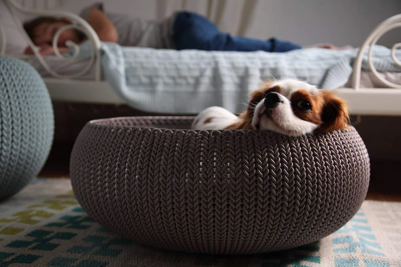 Curver Cozy Pet Bed (Beige) - Image 5