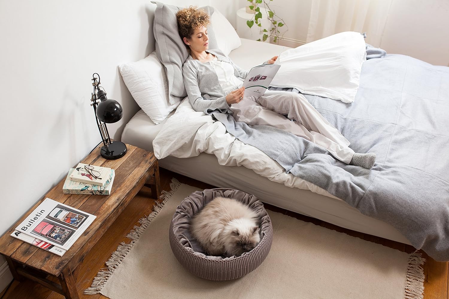 Curver Cozy Pet Bed (Beige) - Image 6