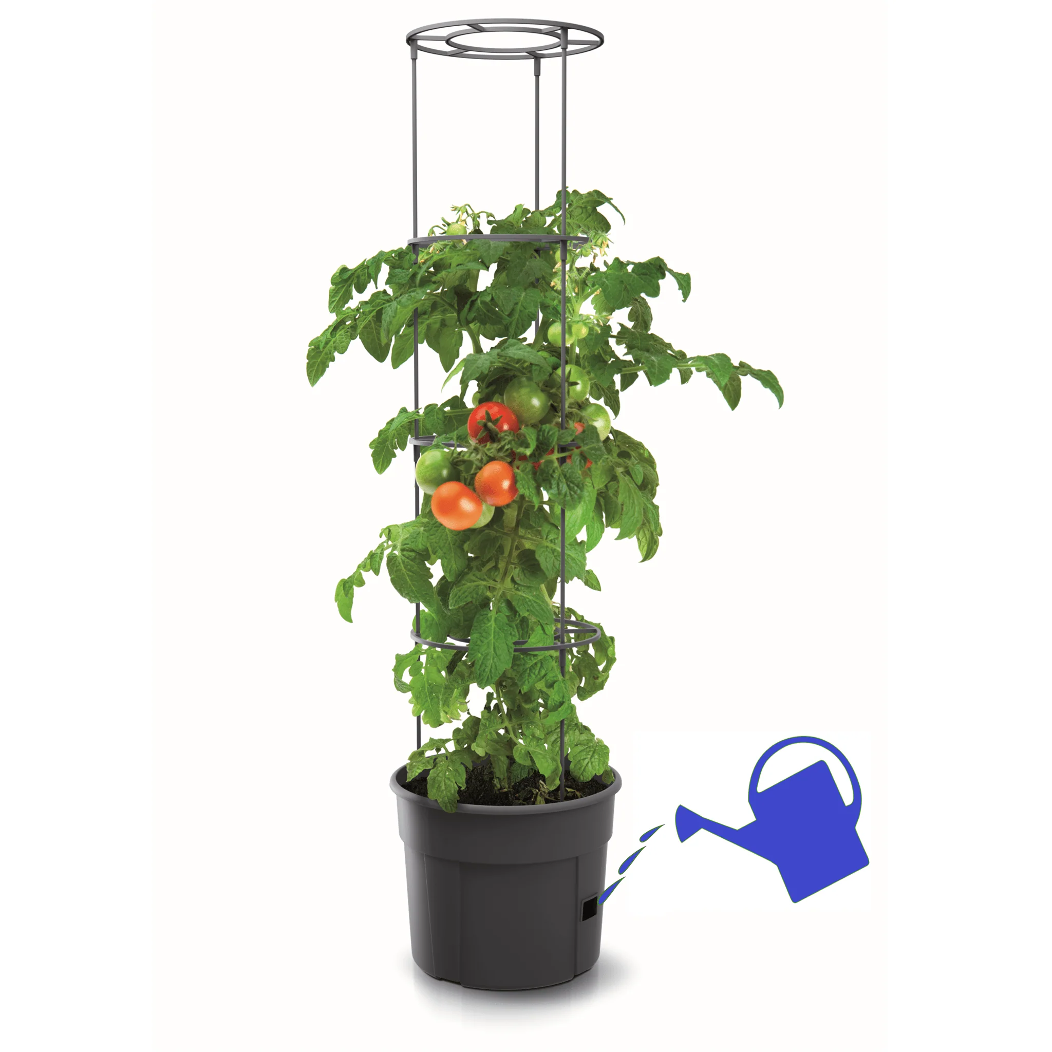 Tomato Grower Planter 400 - Image 2