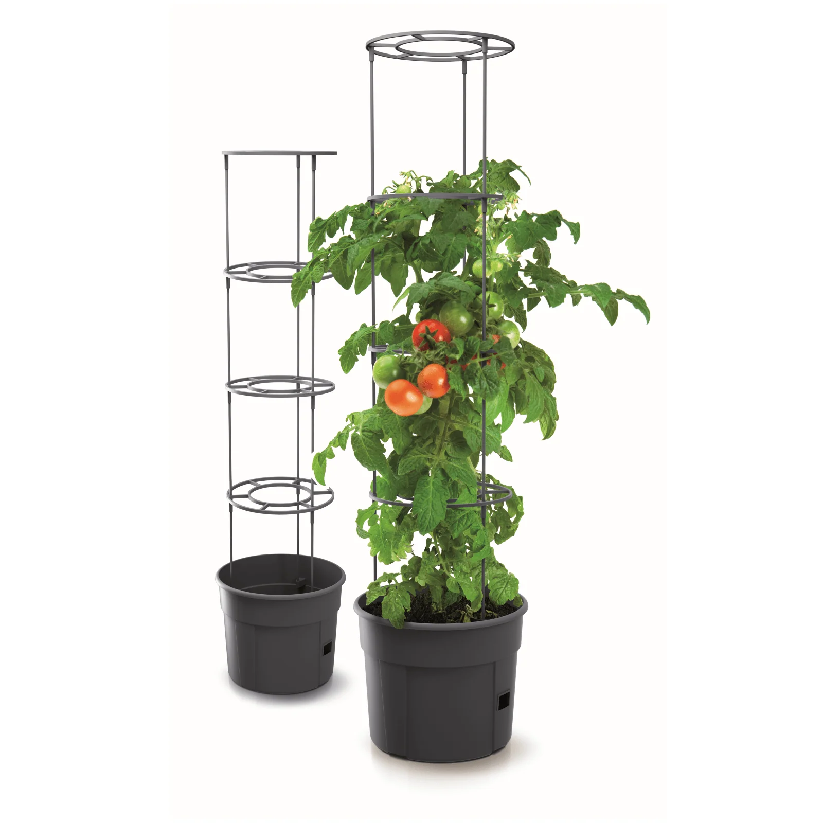 Tomato Grower Planter 400 - Image 3