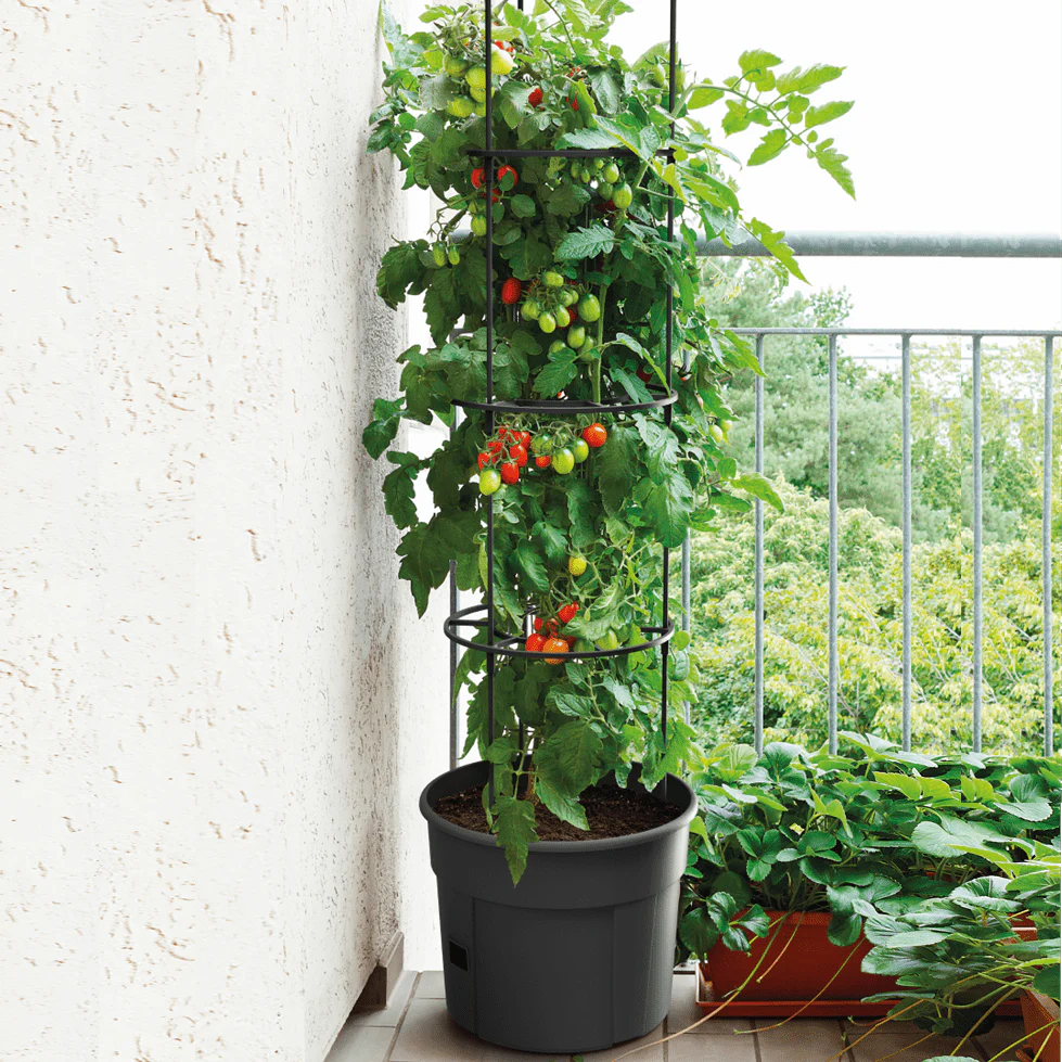 Tomato Grower Planter 400 - Image 5